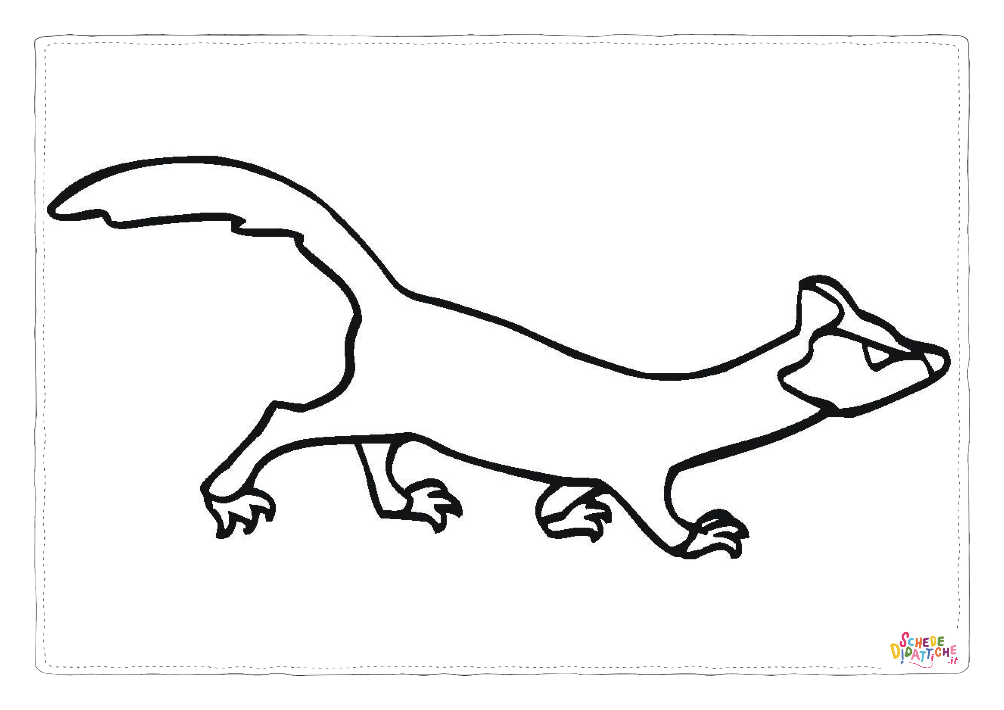 Disegno di opossum da stampare e colorare 5