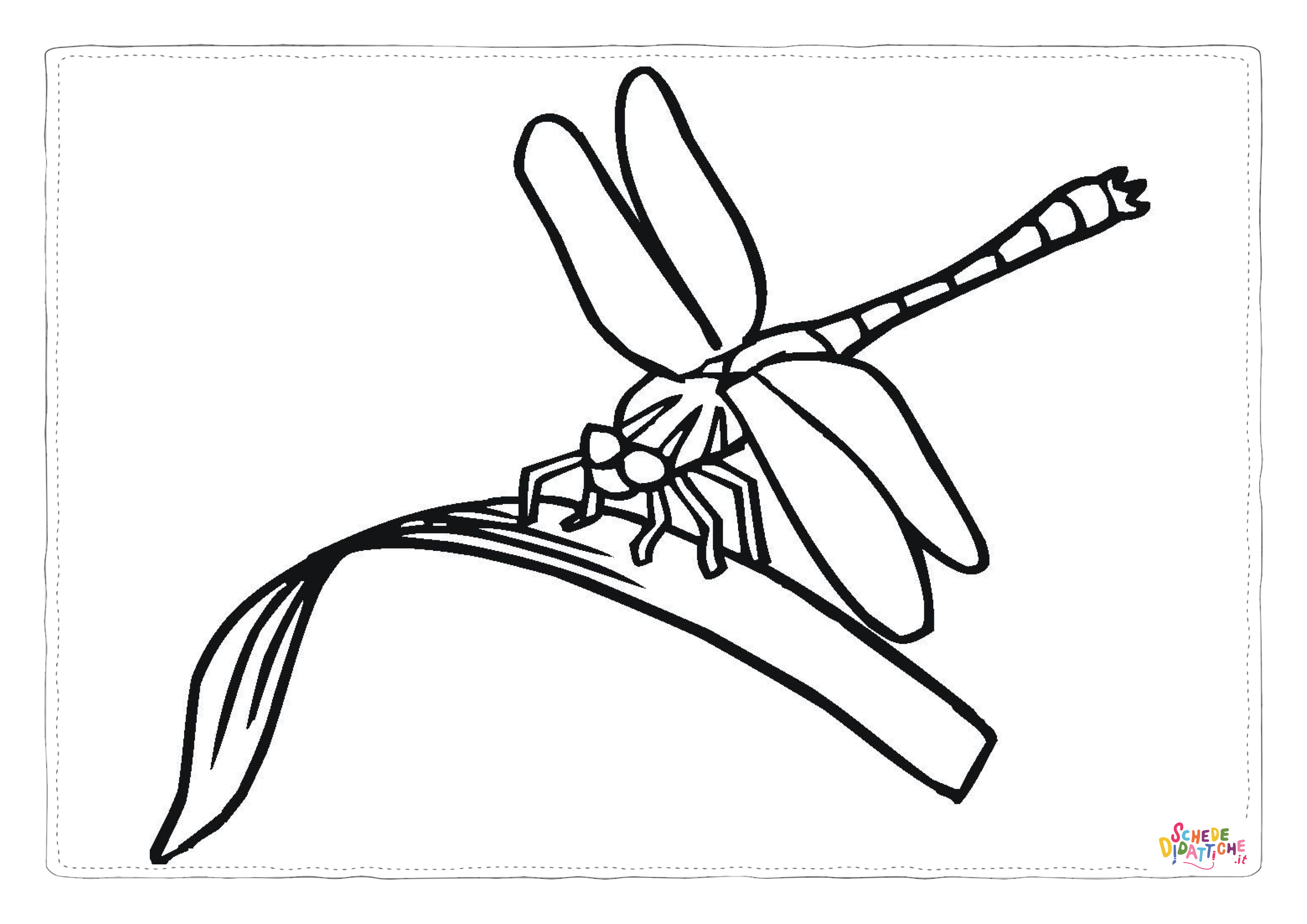 Disegno di libellula da stampare e colorare 46