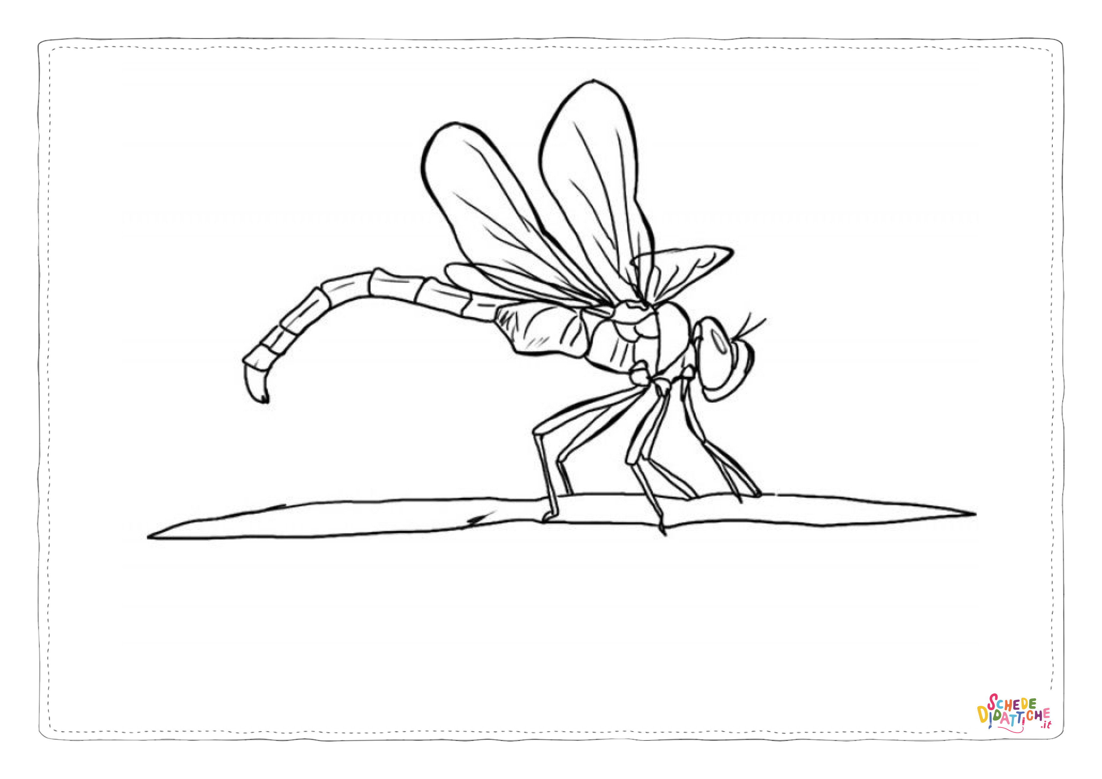 Disegno di libellula da stampare e colorare 28