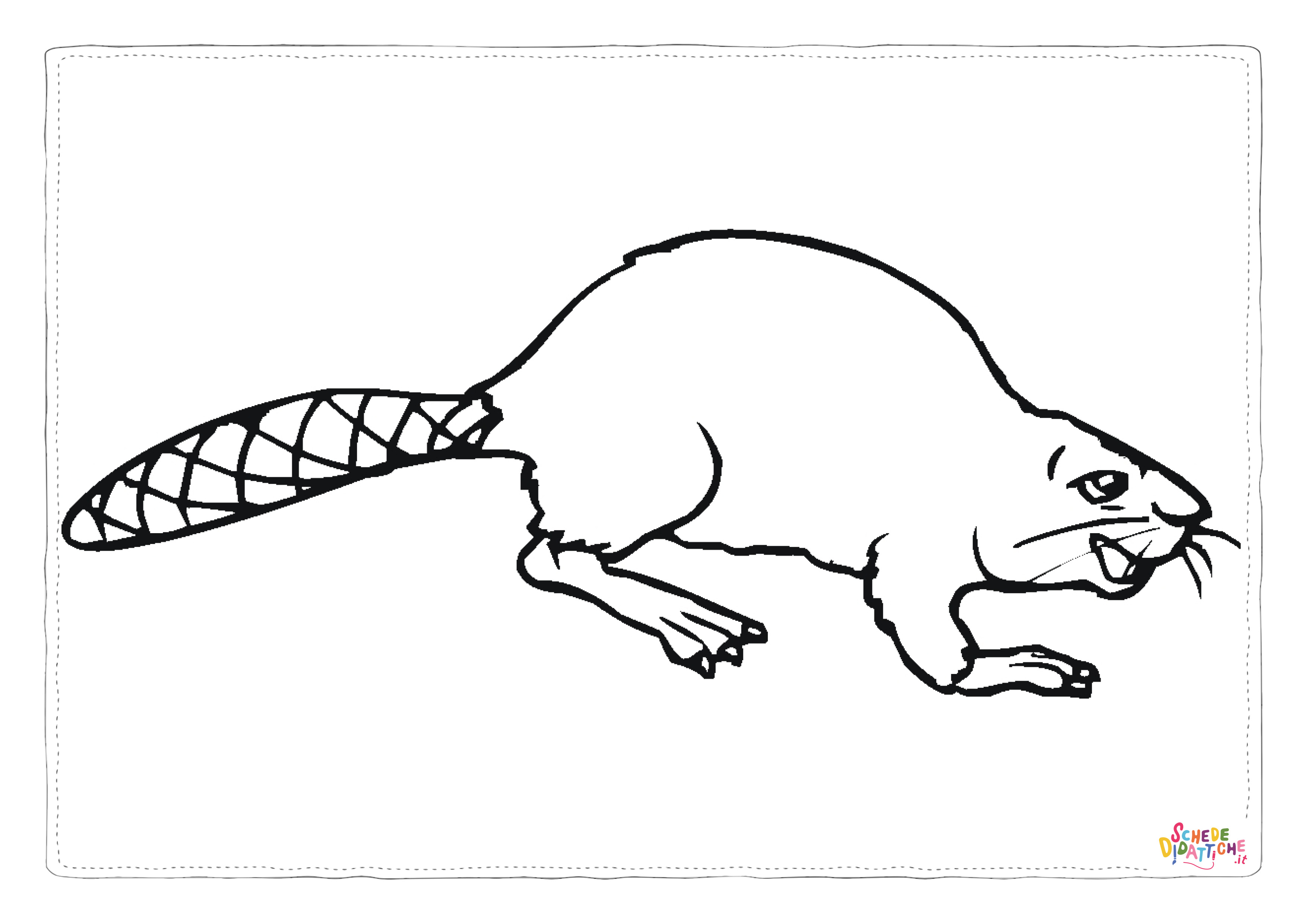 Disegno di castoro da stampare e colorare 9