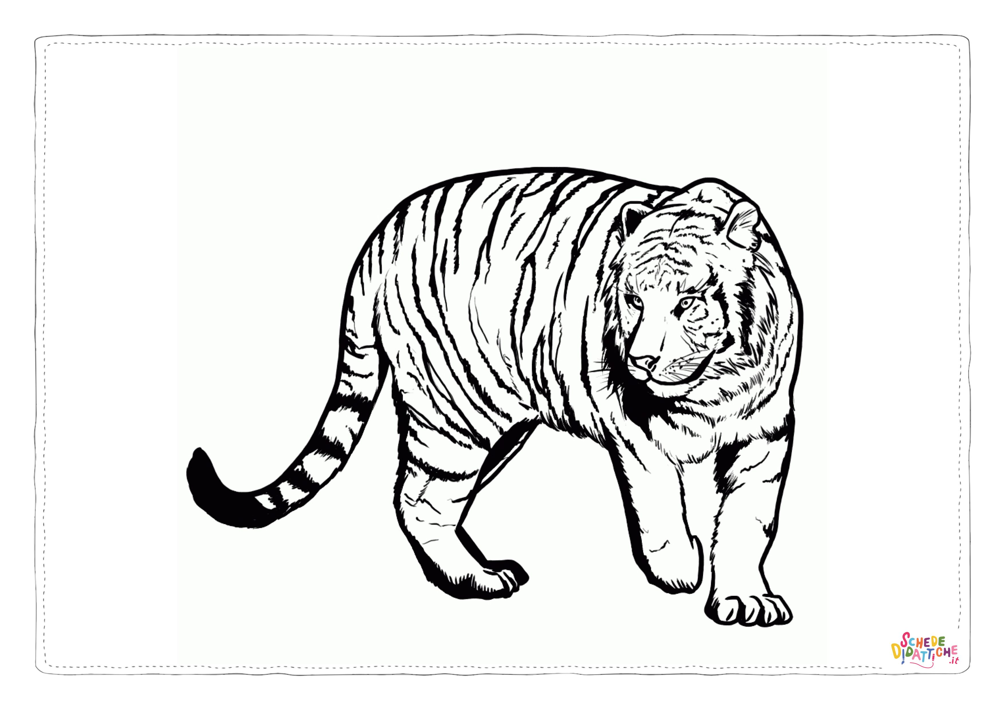 Disegno "Disegno di tigre da stampare e colorare 22" Disegno di tigre da stampare e colorare 22