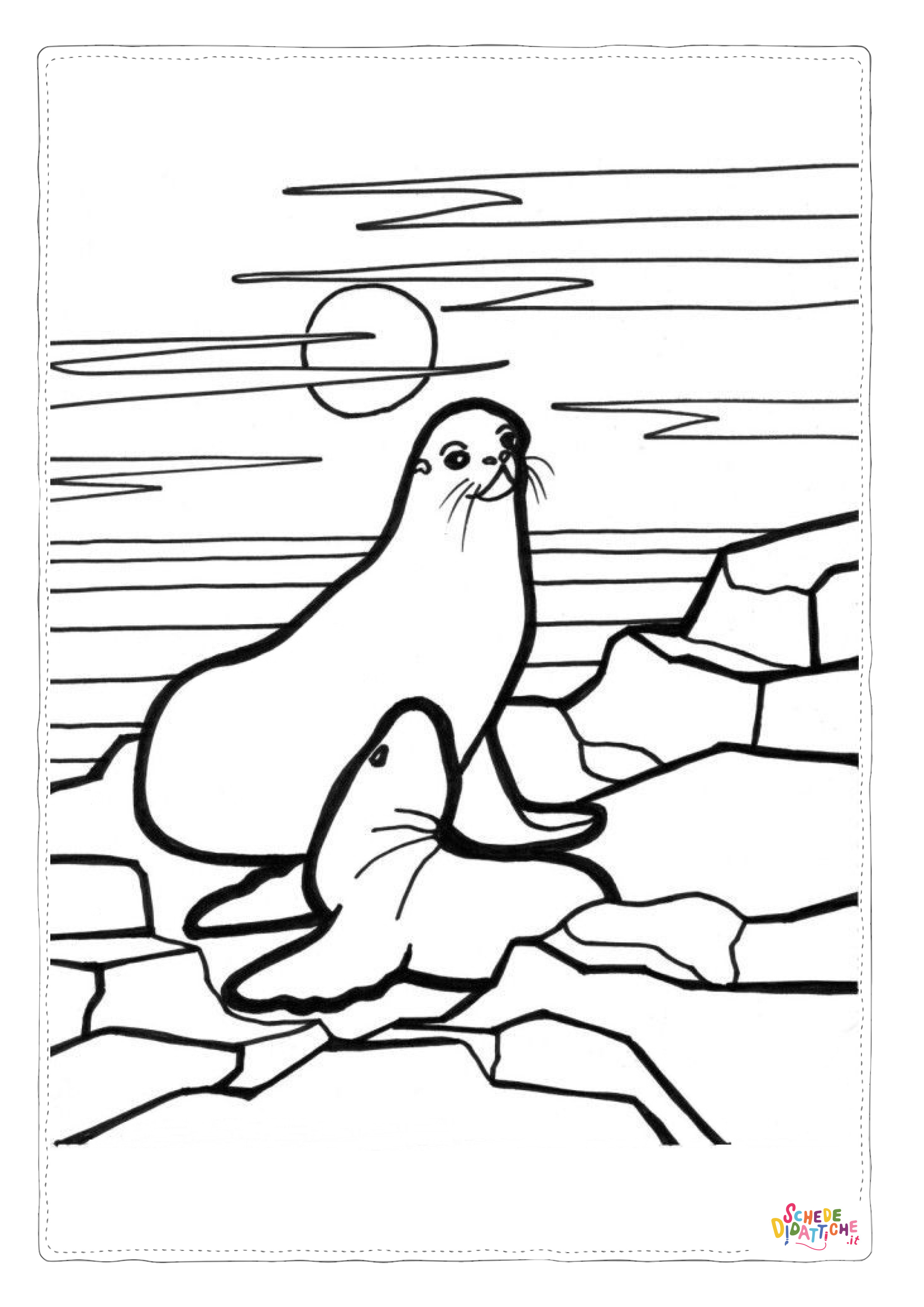 Disegno di foca da stampare e colorare 5
