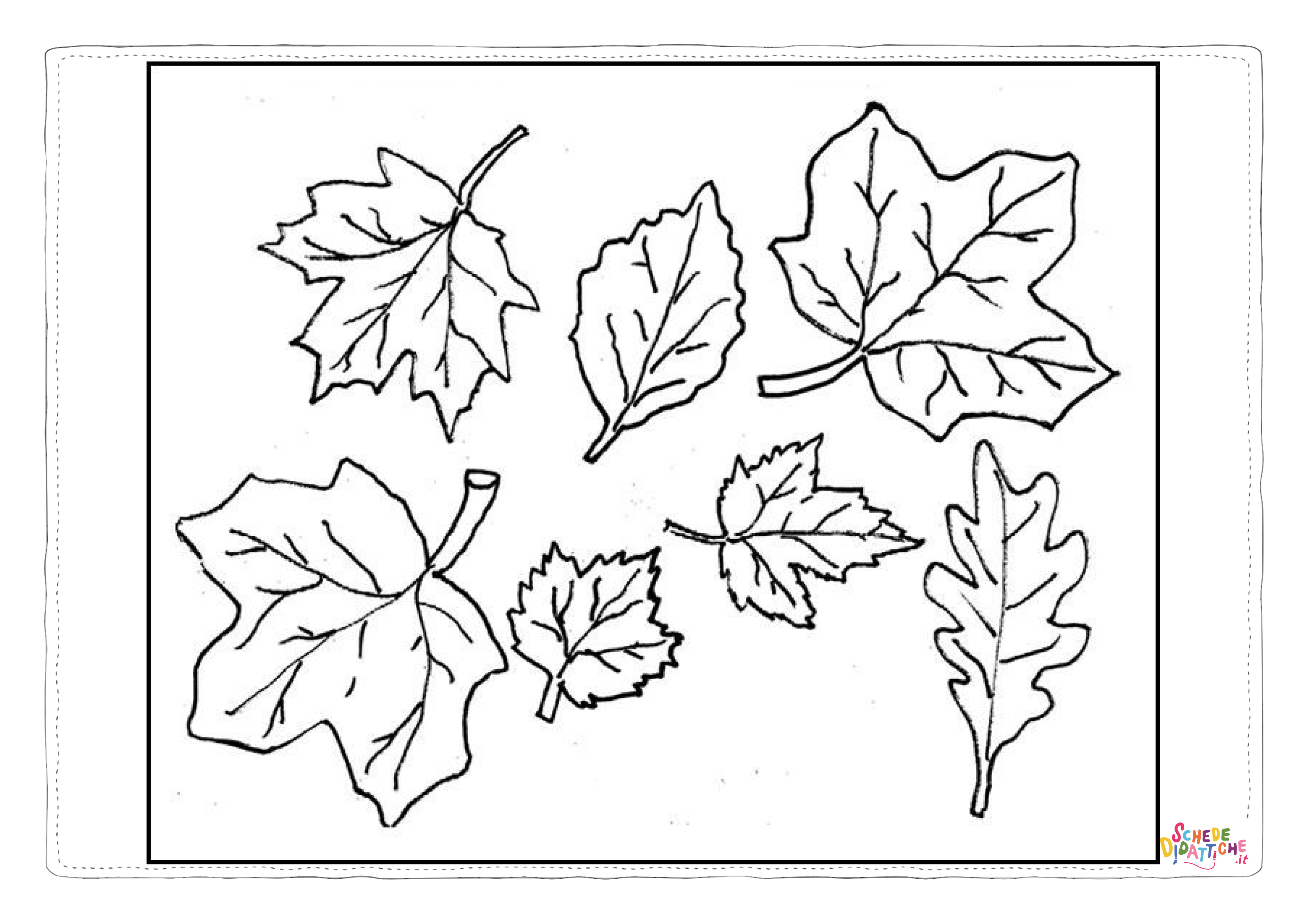 Disegno "Disegno di foglia da stampare e colorare 197" Disegno di foglia da stampare e colorare 197