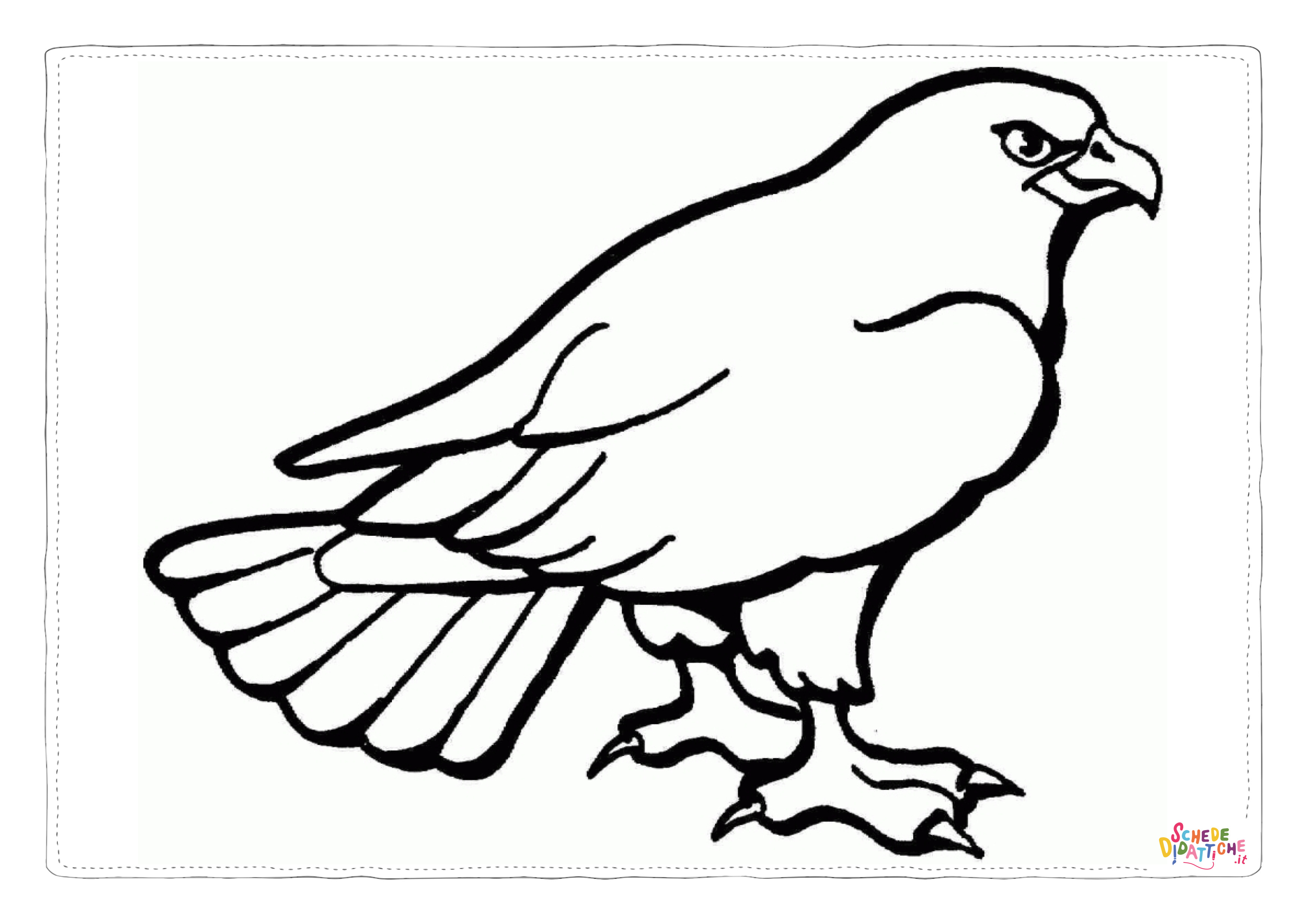 Disegno "Disegno di falco da stampare e colorare 2" Disegno di falco da stampare e colorare 2