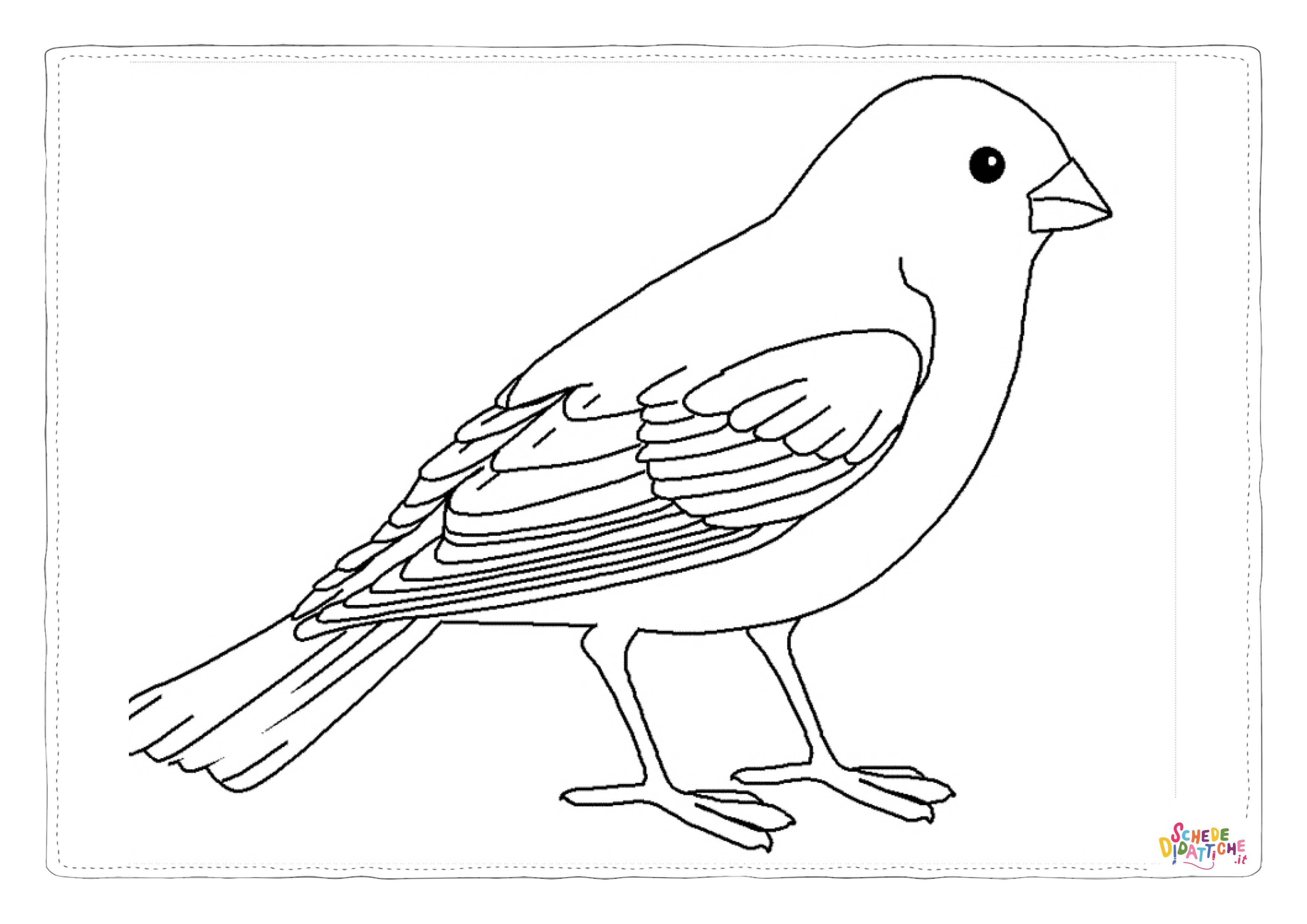 Disegno "Disegno di passero da stampare e colorare 19" Disegno di passero da stampare e colorare 19