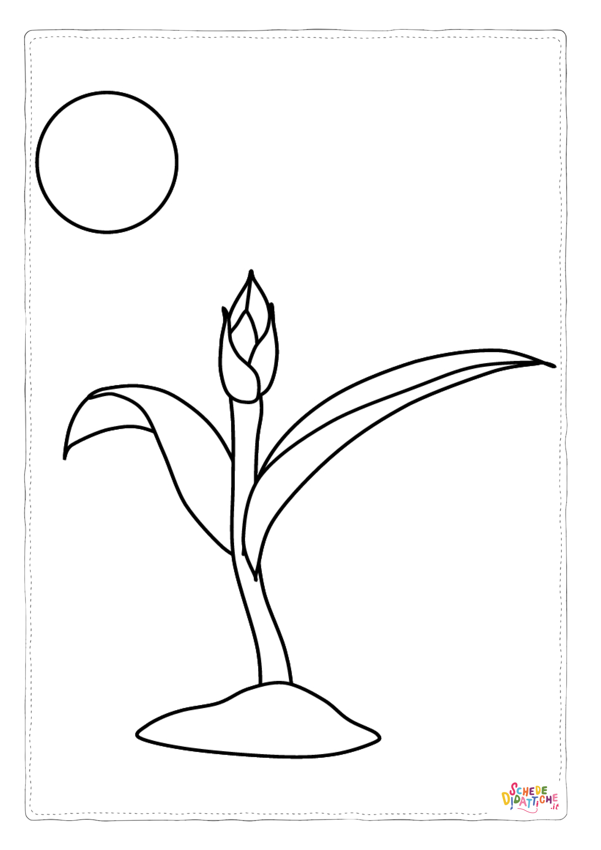 Disegno "Disegno di fiore da stampare e colorare 284" Disegno di fiore da stampare e colorare 284