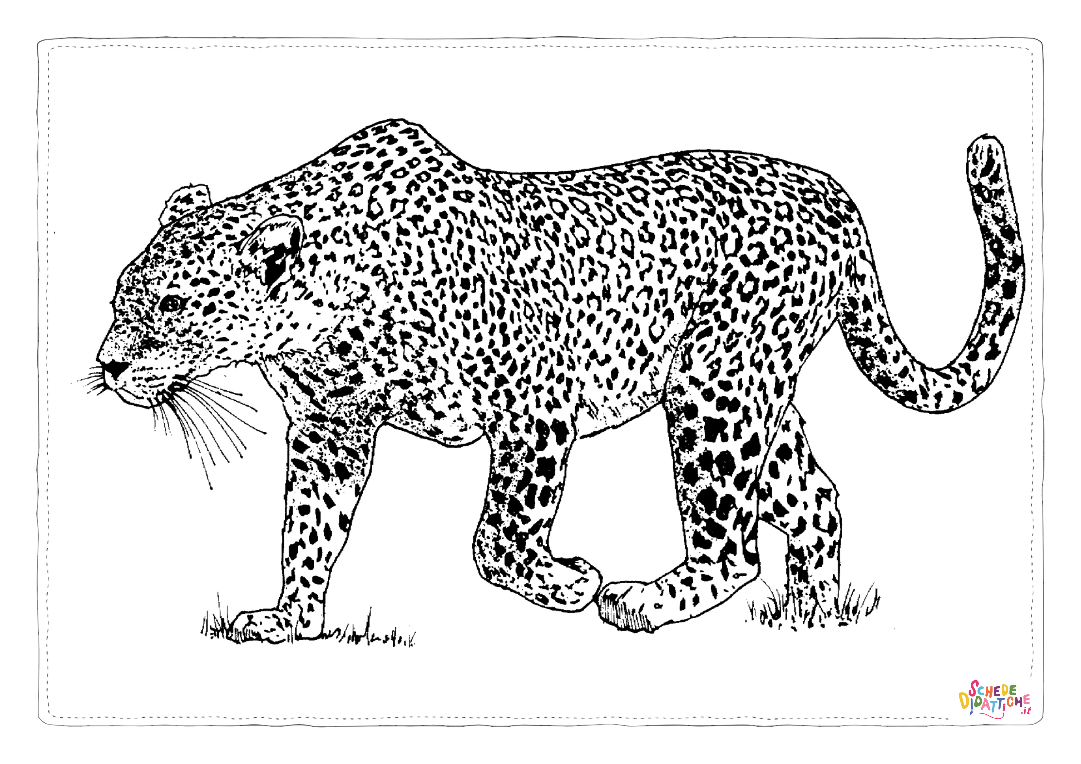 Disegno "Disegno di leopardo da stampare e colorare 37" Disegno di leopardo da stampare e colorare 37