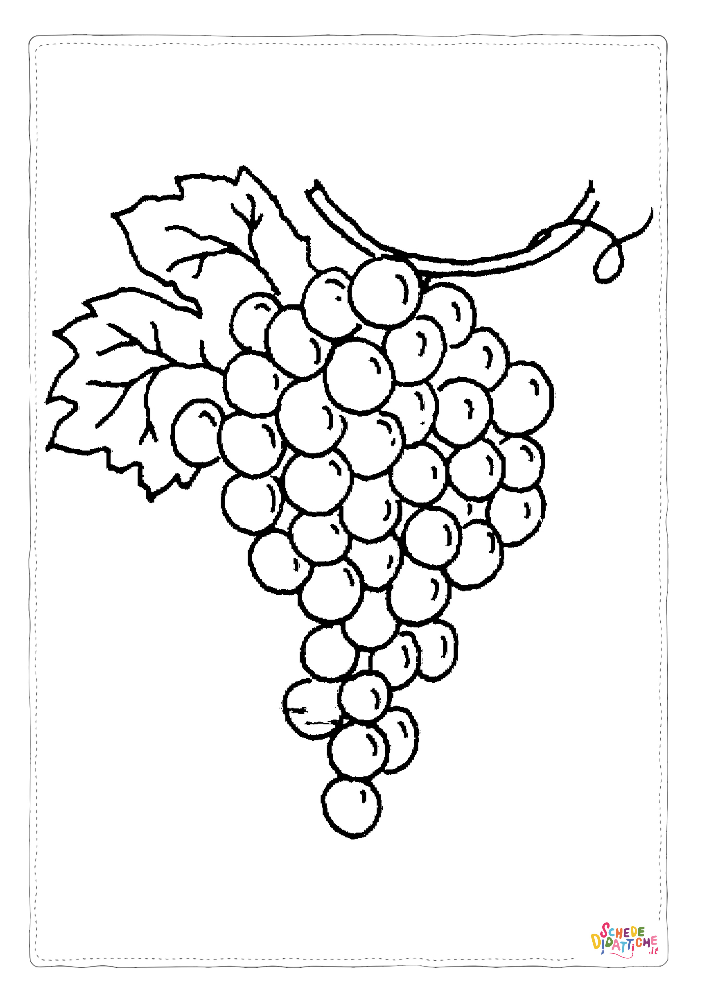 Disegno "Disegno di uva da stampare e colorare 21" Disegno di uva da stampare e colorare 21
