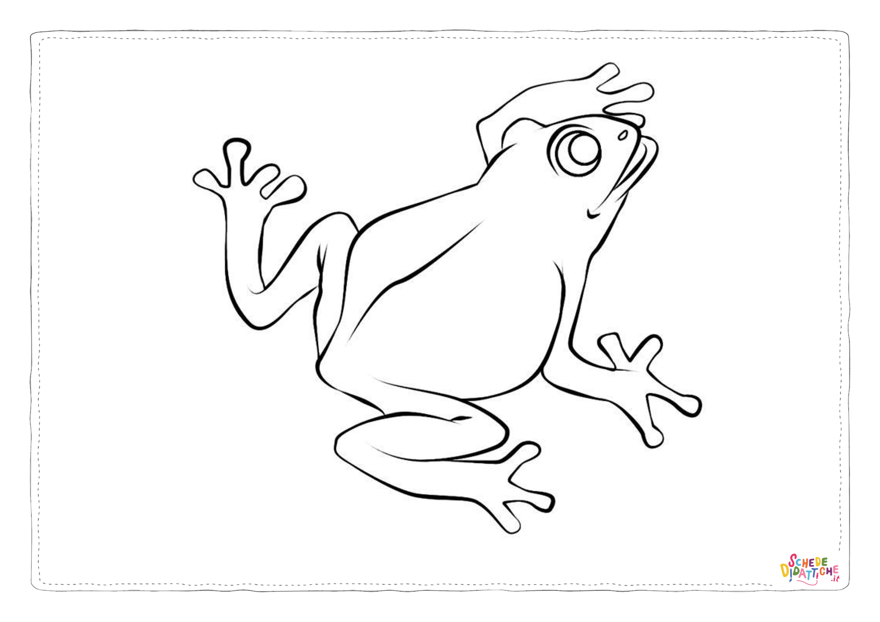 Disegno di rana da stampare e colorare 101