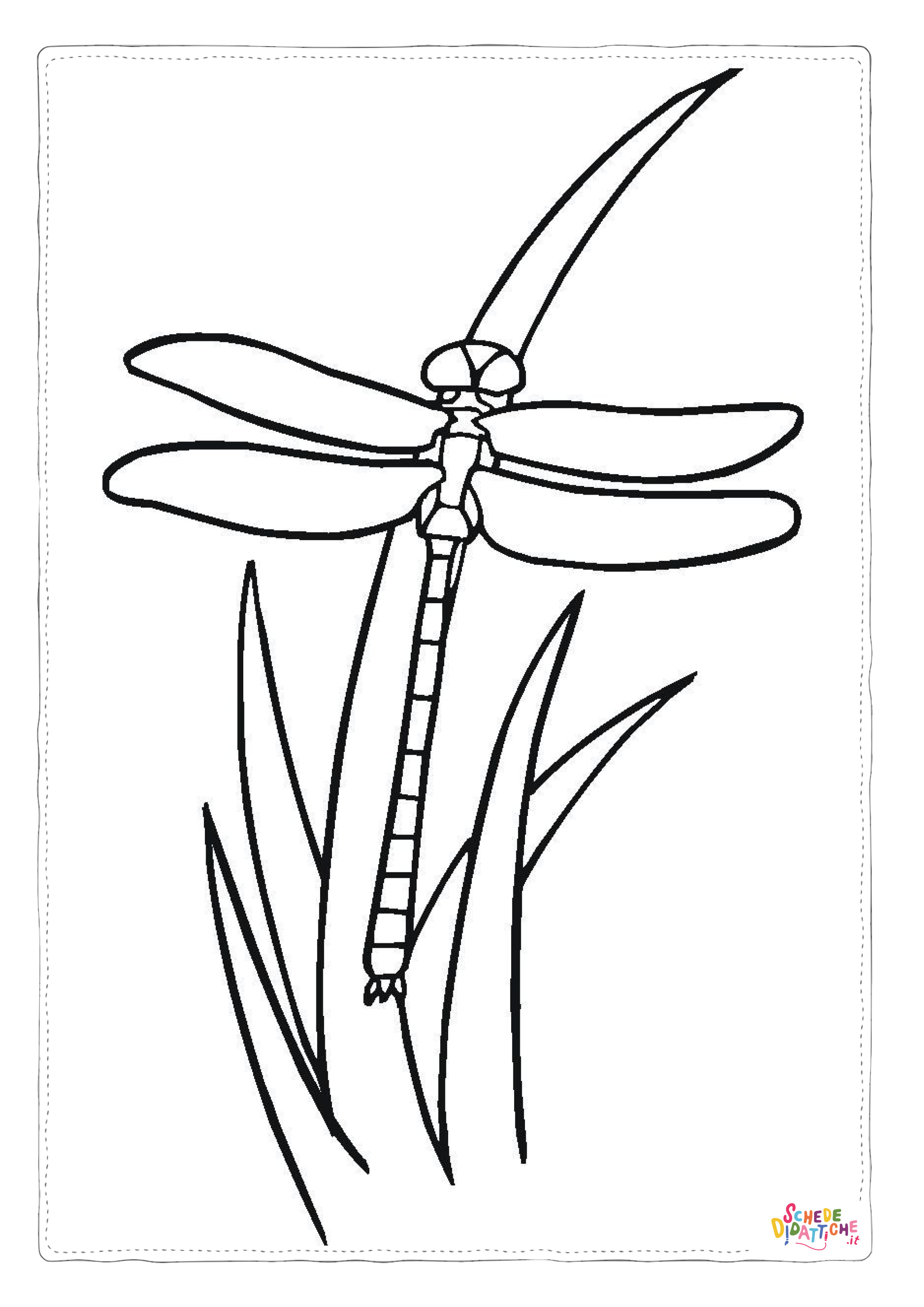 Disegno di libellula da stampare e colorare 40