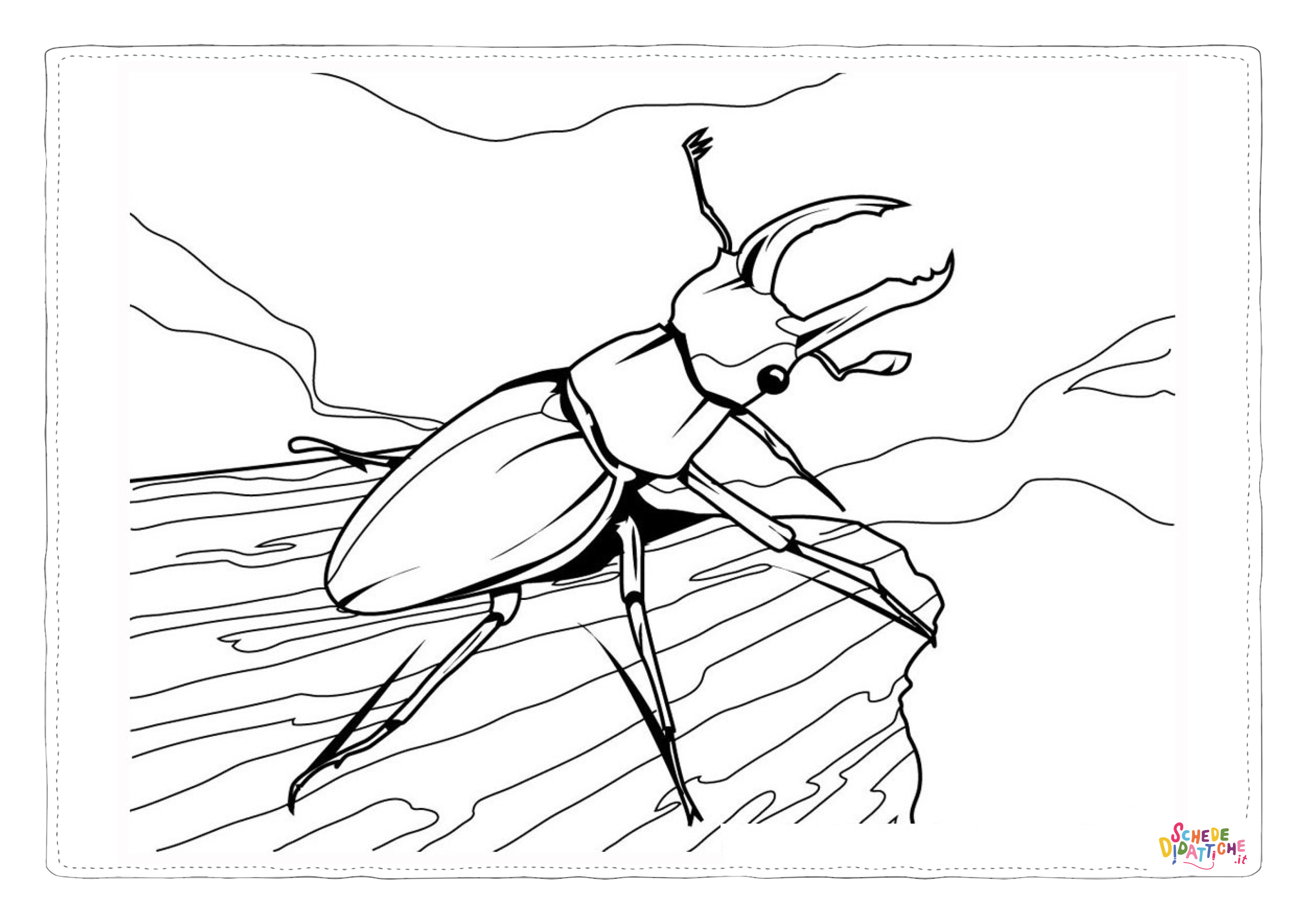Disegno di coleottero da stampare e colorare 4
