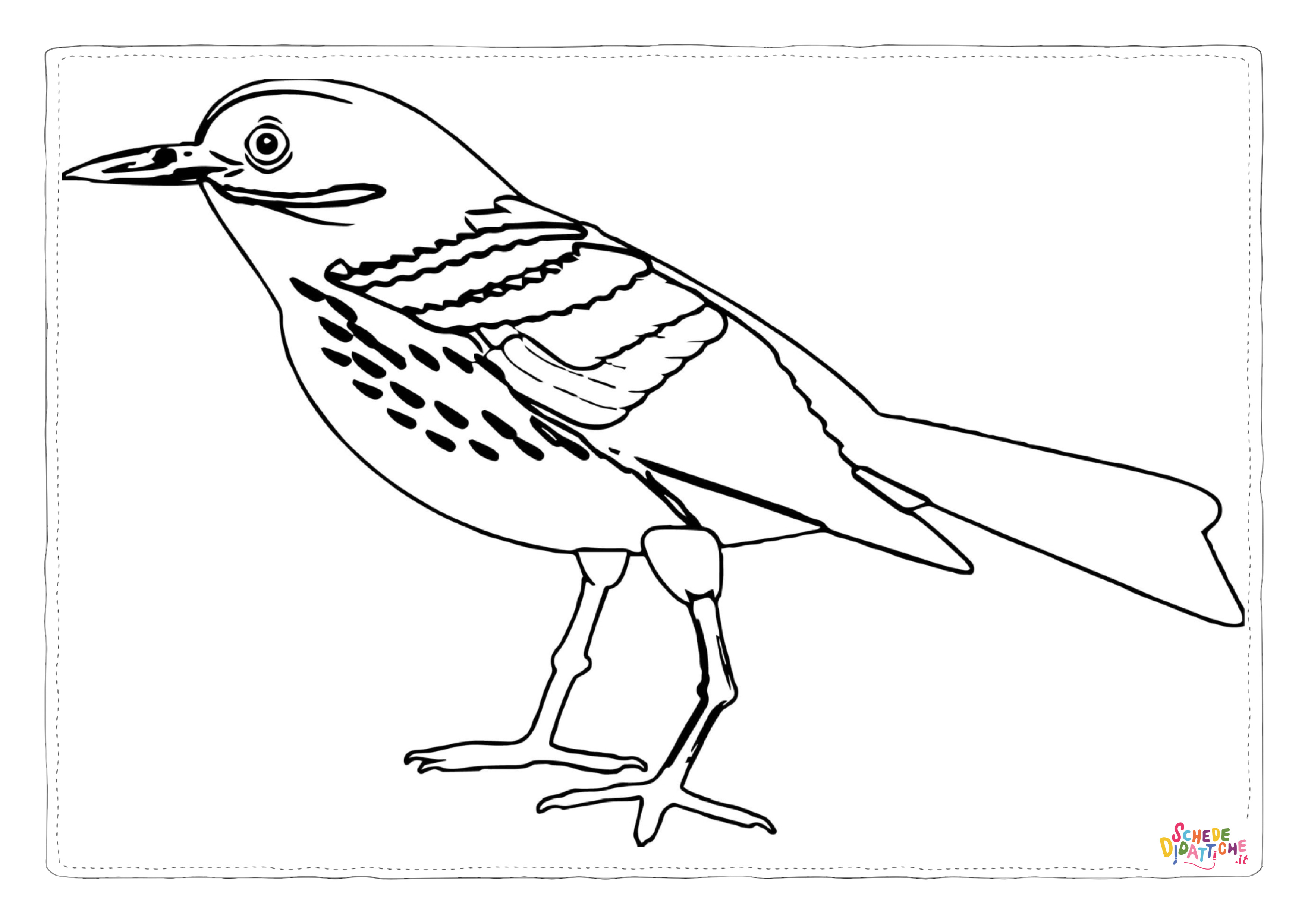 Disegno "Disegno di passero da stampare e colorare 8" Disegno di passero da stampare e colorare 8
