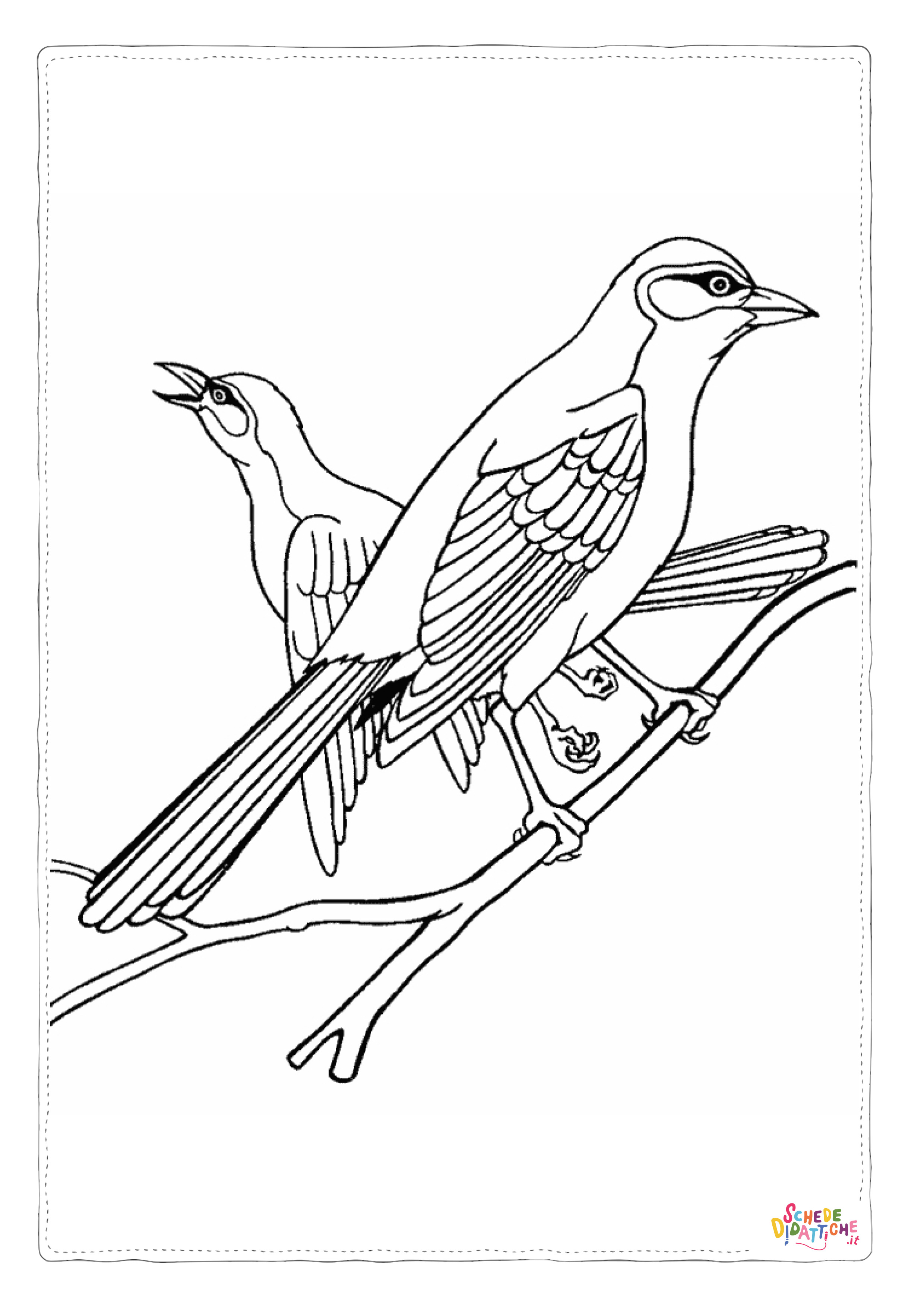 Disegno "Disegno di uccello da stampare e colorare 80" Disegno di uccello da stampare e colorare 80
