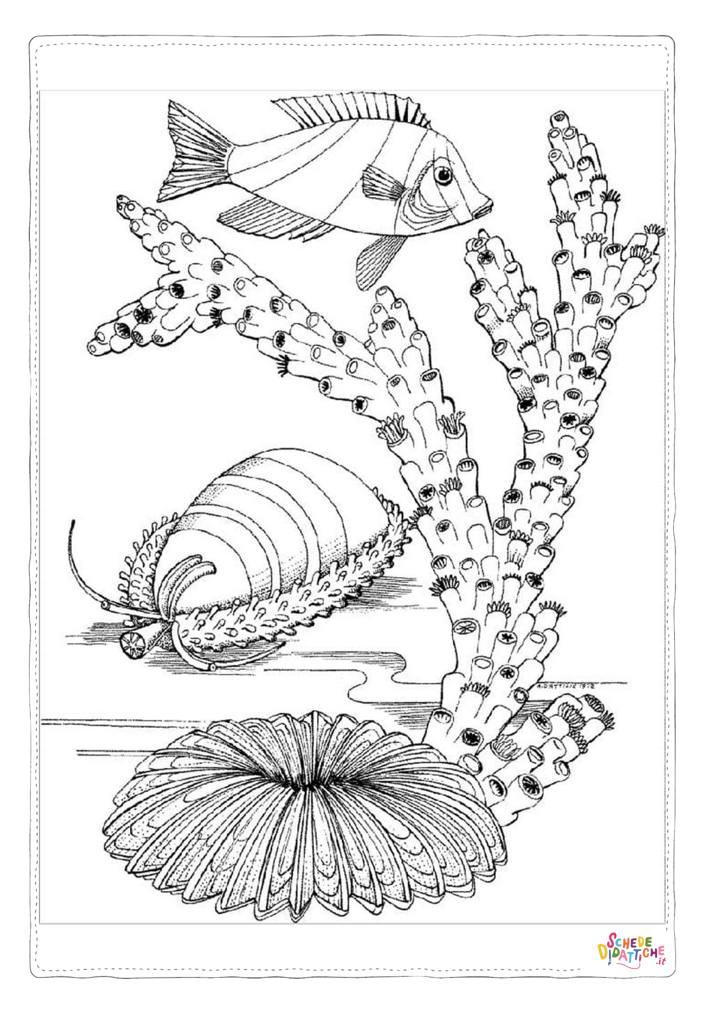 Disegno "Disegno di pesce da stampare e colorare 183" Disegno di pesce da stampare e colorare 183