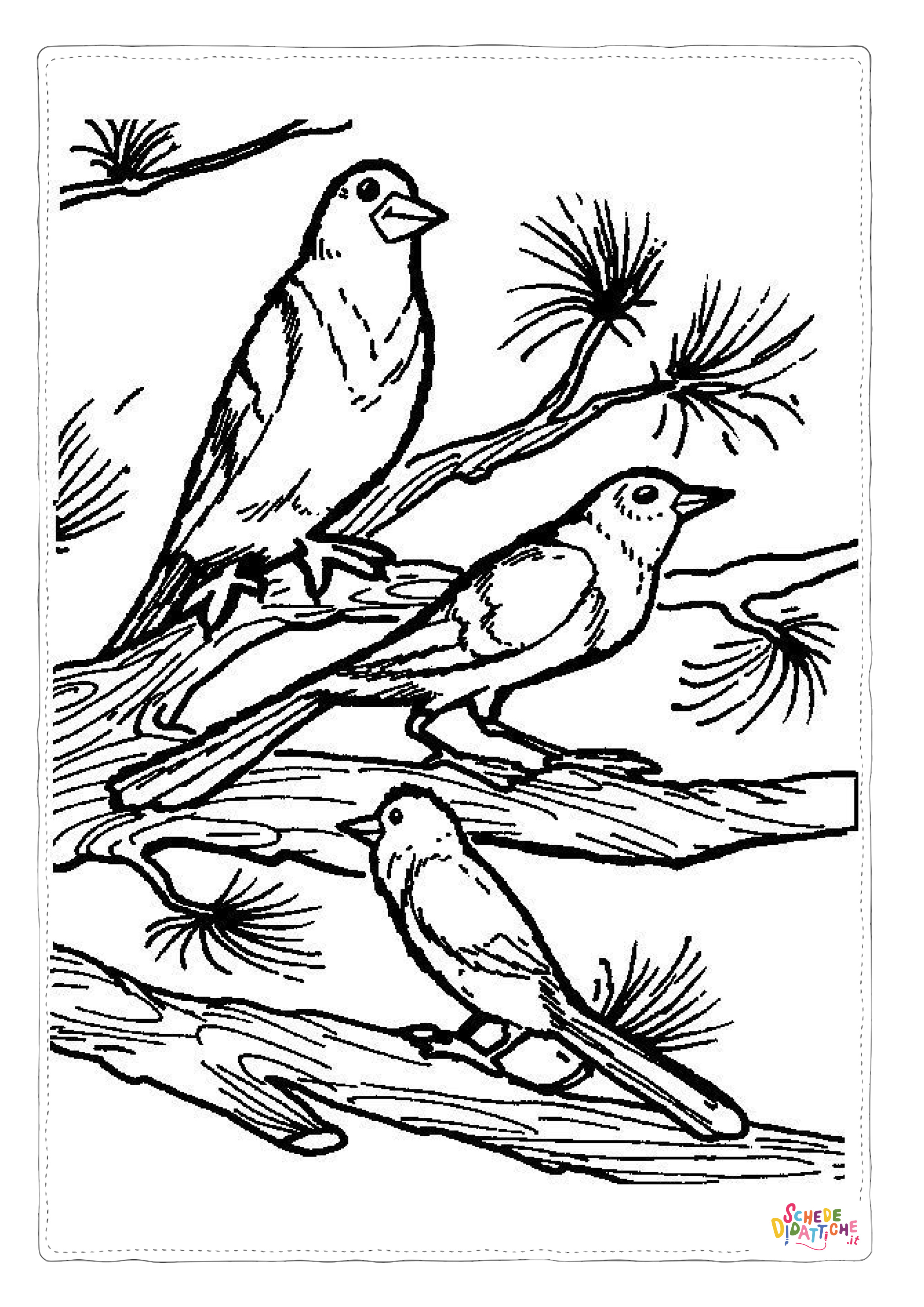 Disegno "Disegno di passero da stampare e colorare 55" Disegno di passero da stampare e colorare 55