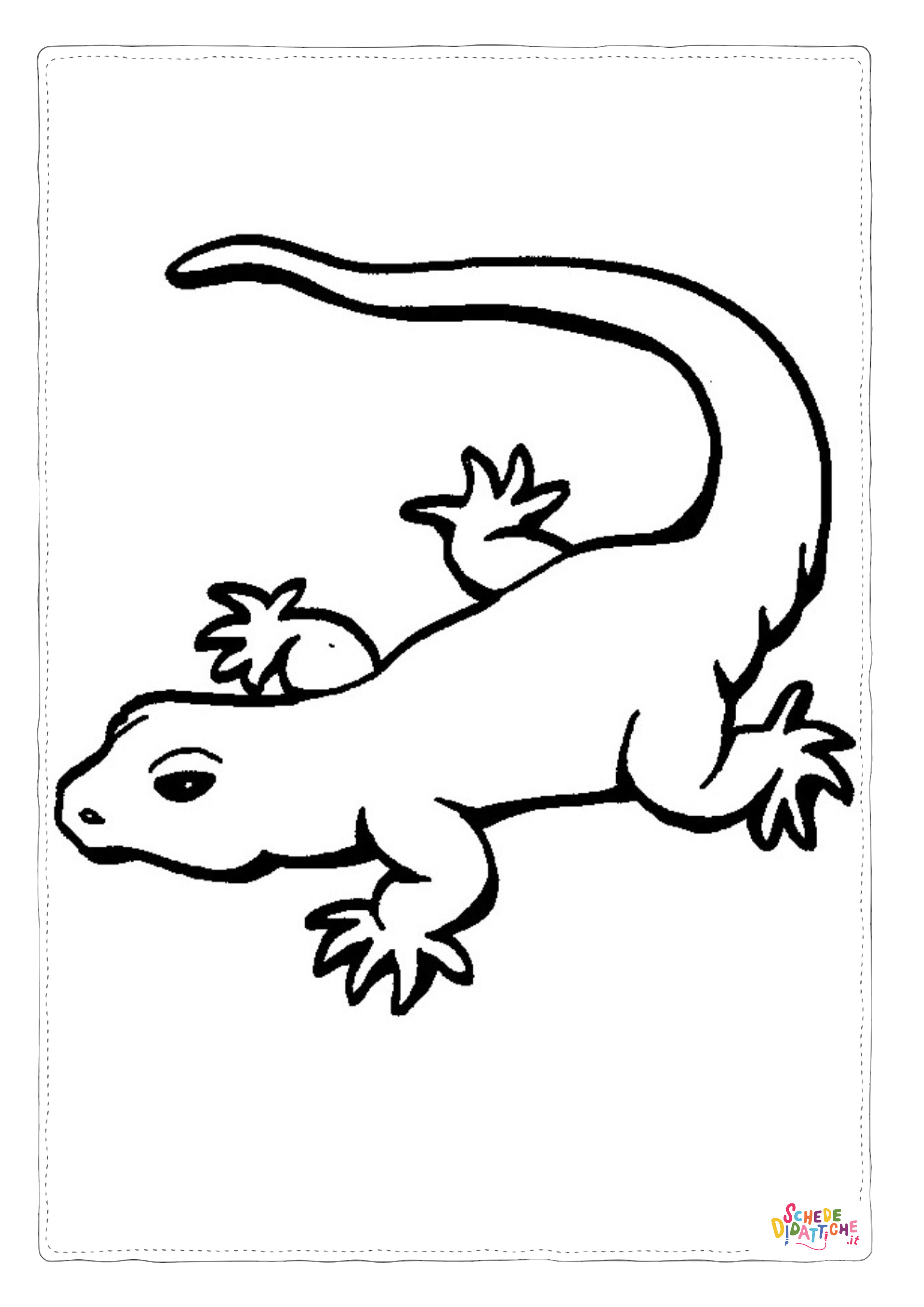Disegno di iguana da stampare e colorare 16
