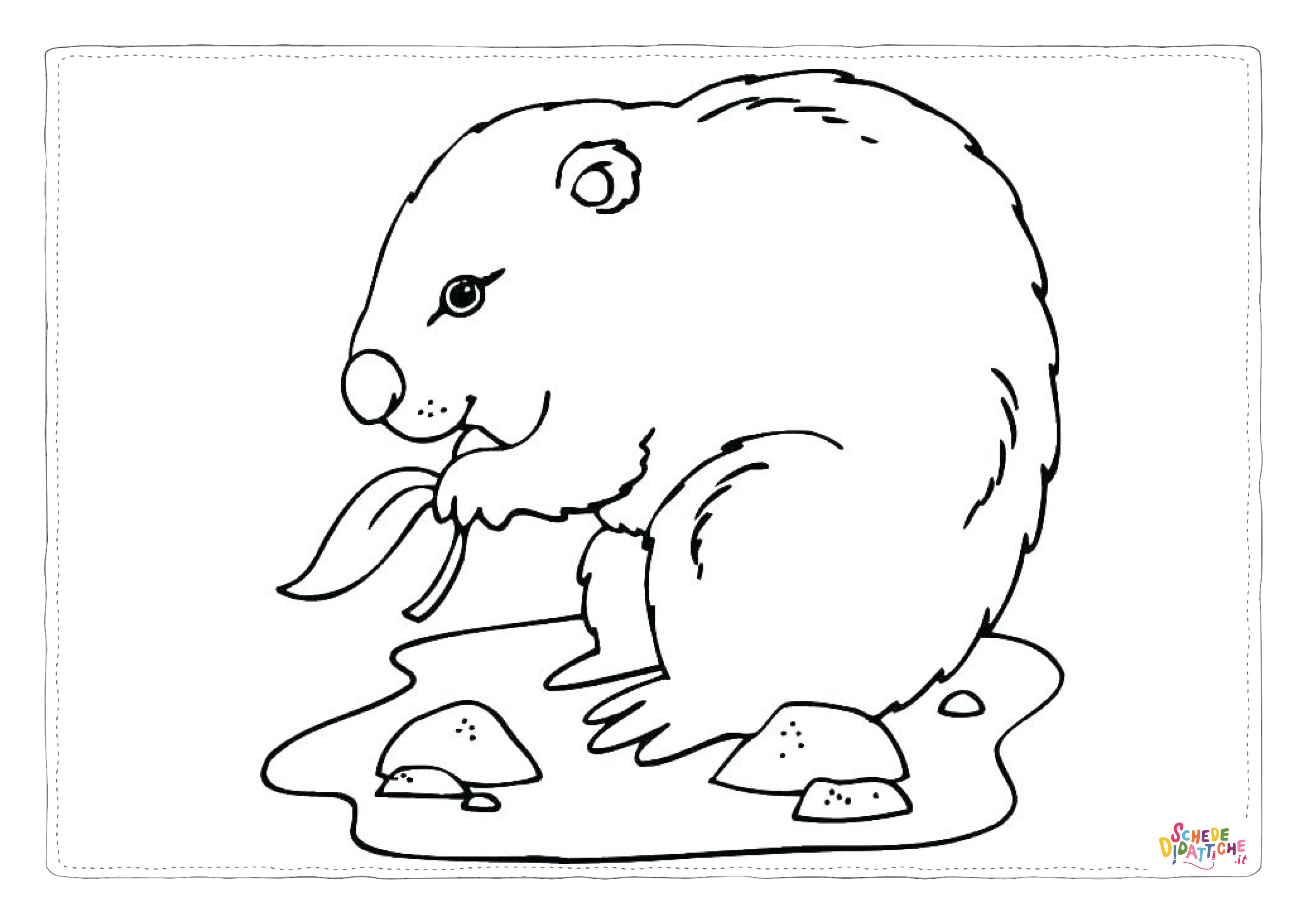 Disegno "Disegno di castoro da stampare e colorare 5" Disegno di castoro da stampare e colorare 5