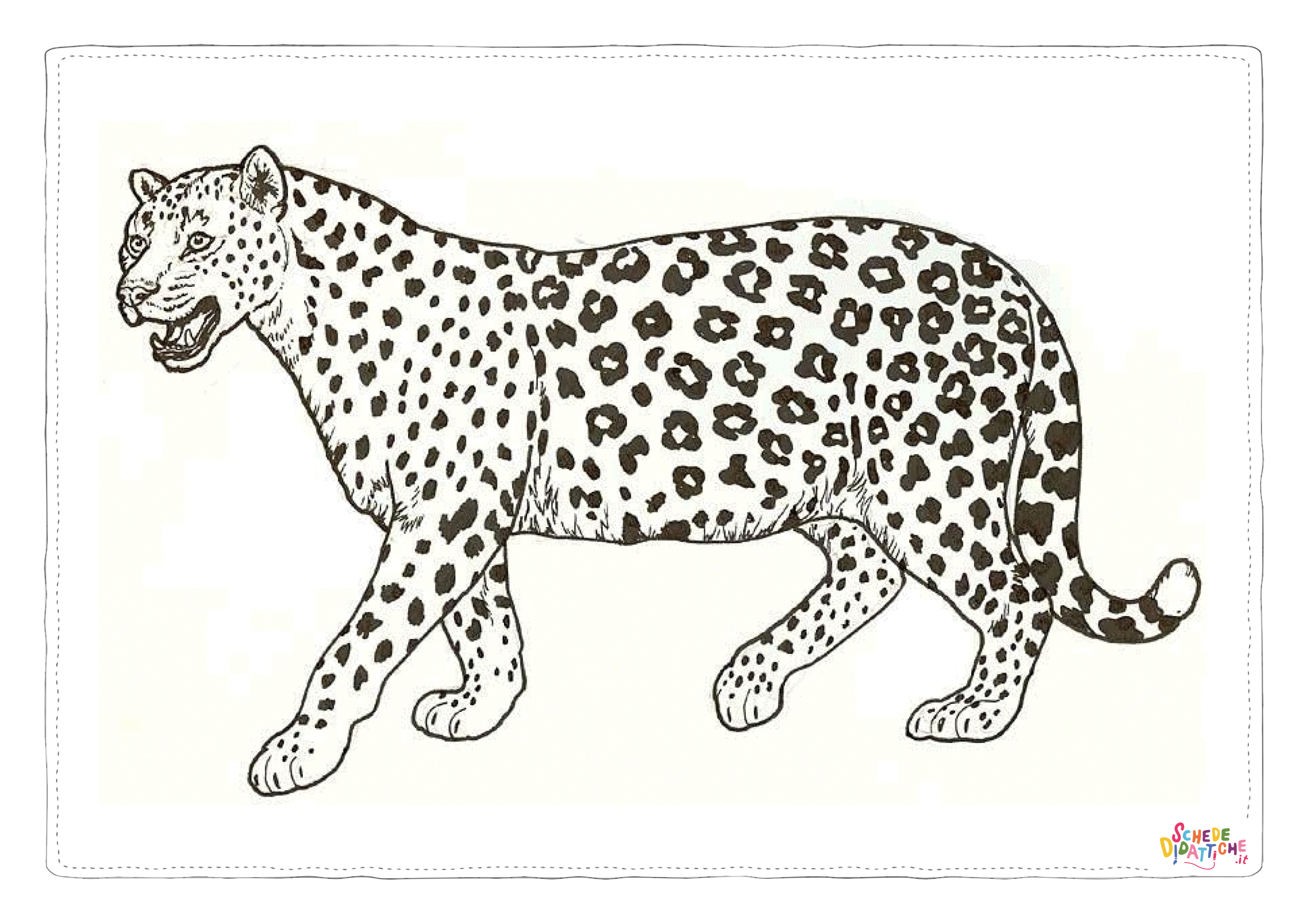 Disegno "Disegno di leopardo da stampare e colorare 44" Disegno di leopardo da stampare e colorare 44