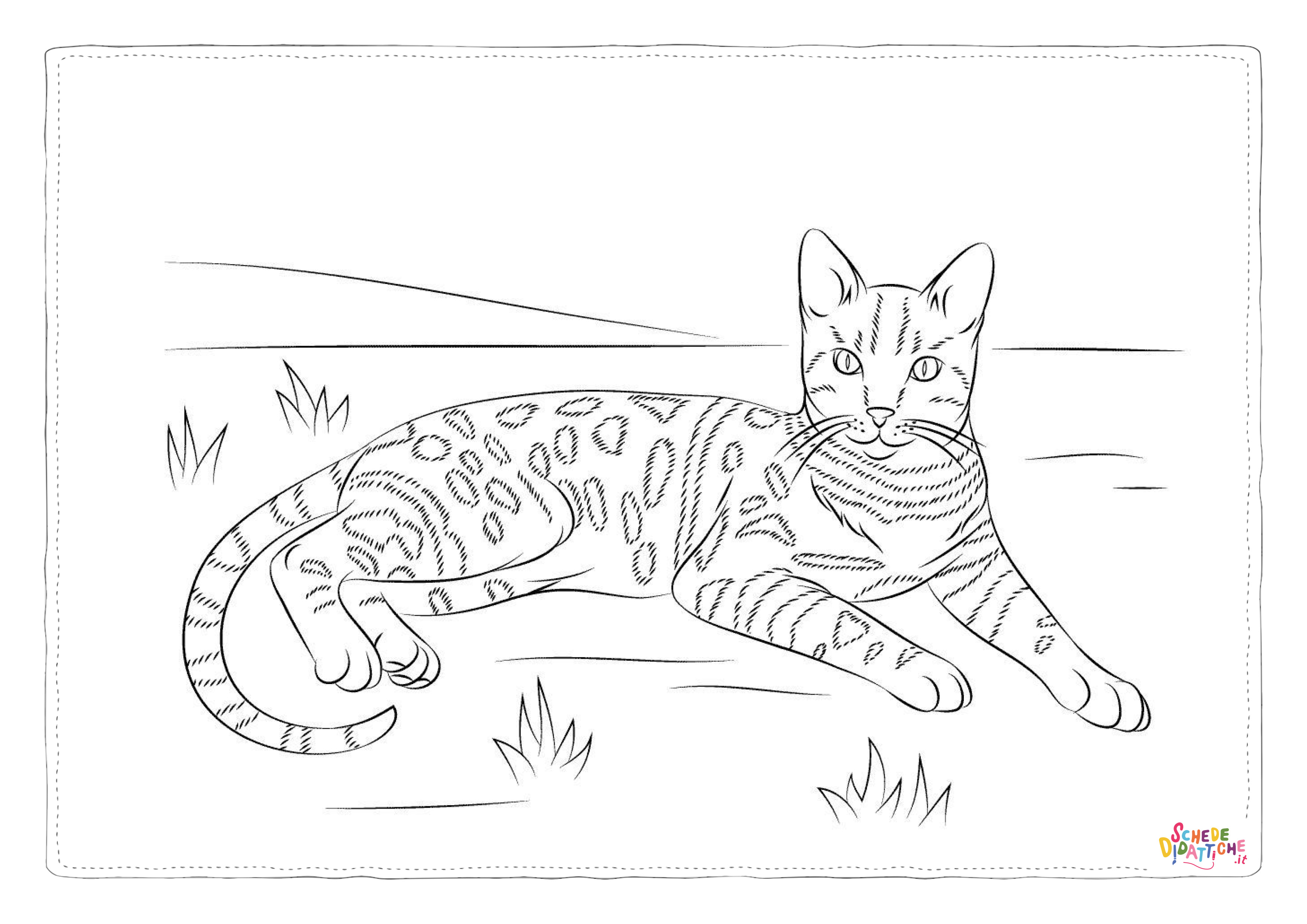 Disegno "Disegno di leopardo da stampare e colorare 56" Disegno di leopardo da stampare e colorare 56