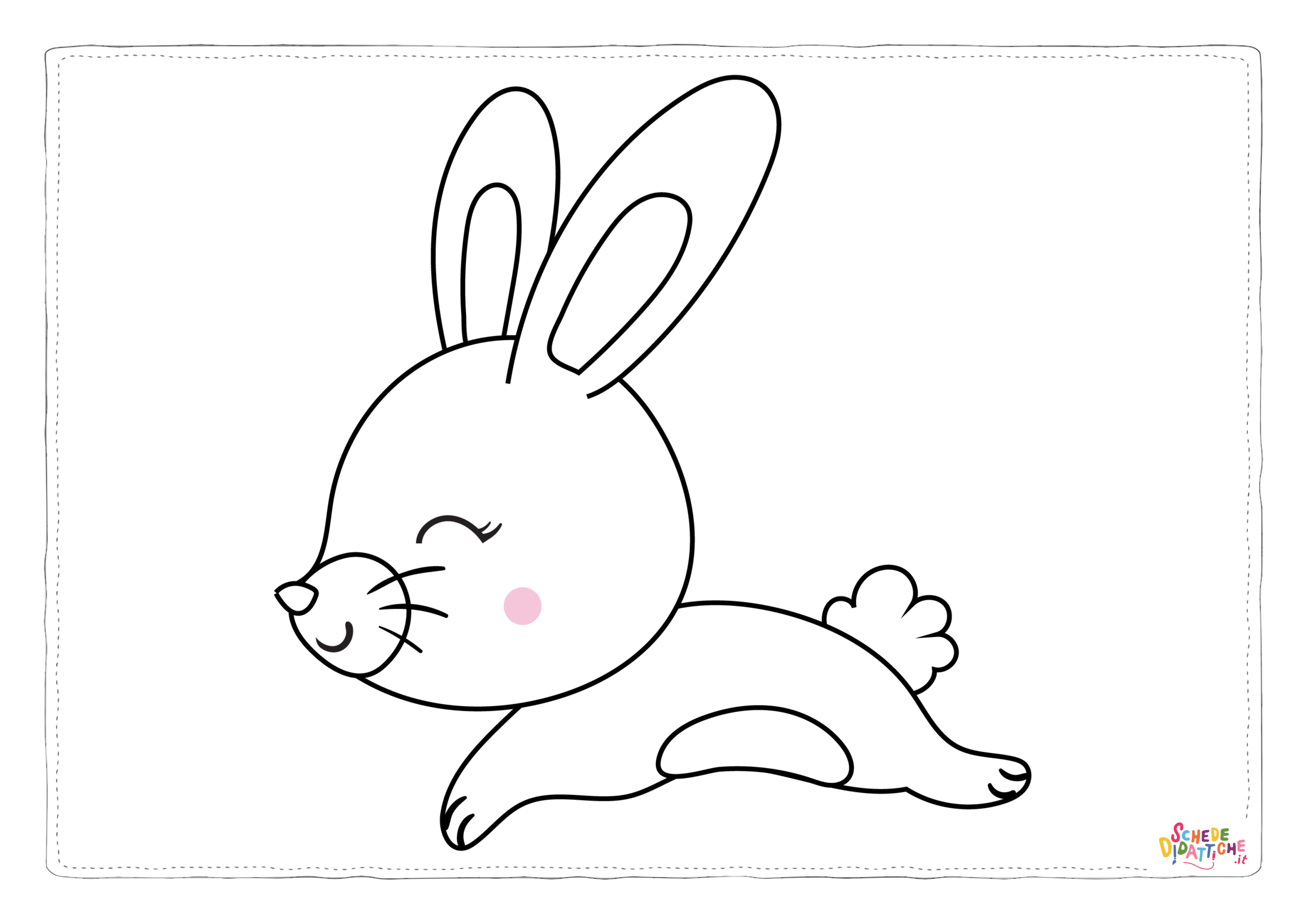 BUNNY-08