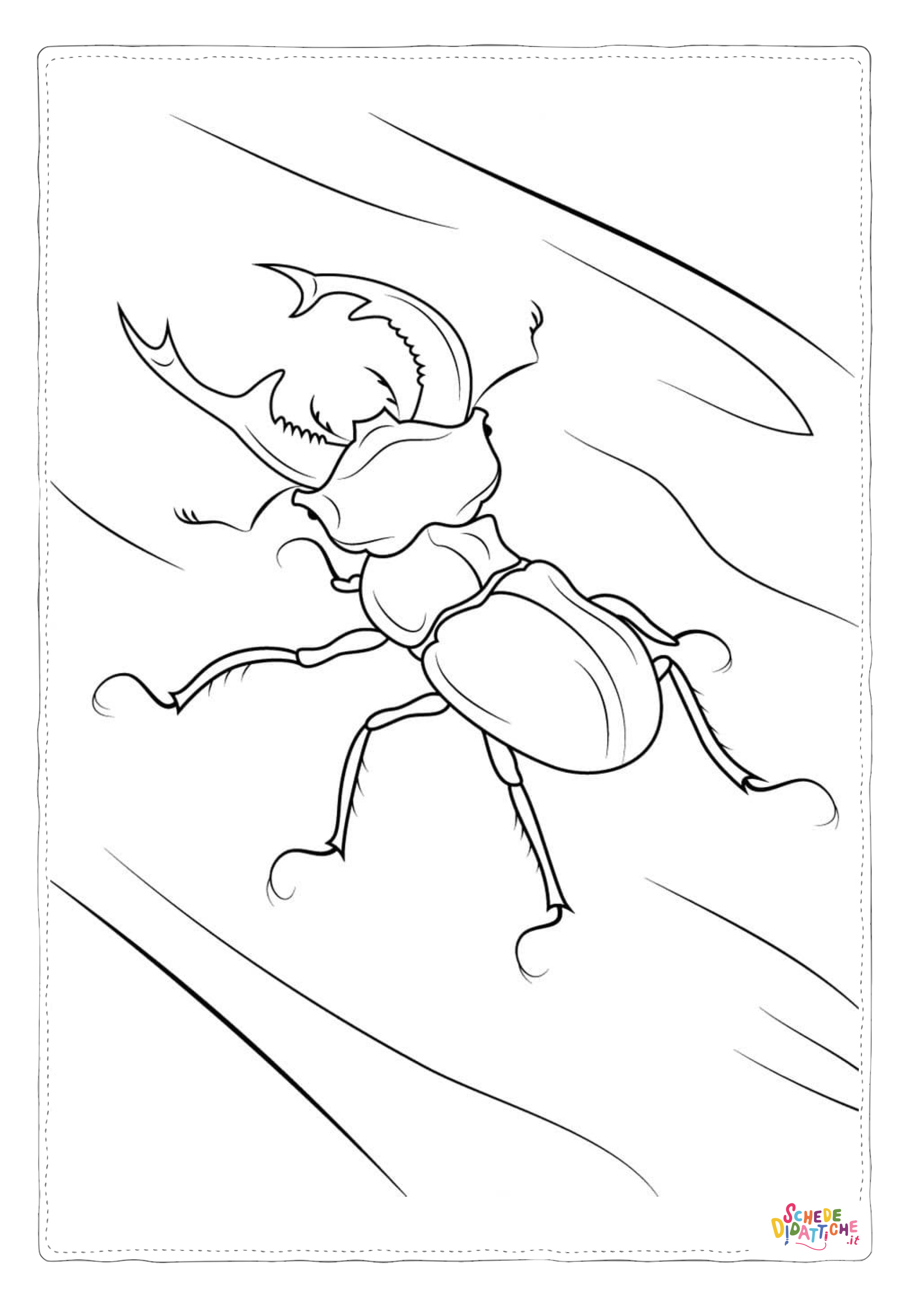 Disegno di coleottero da stampare e colorare 15