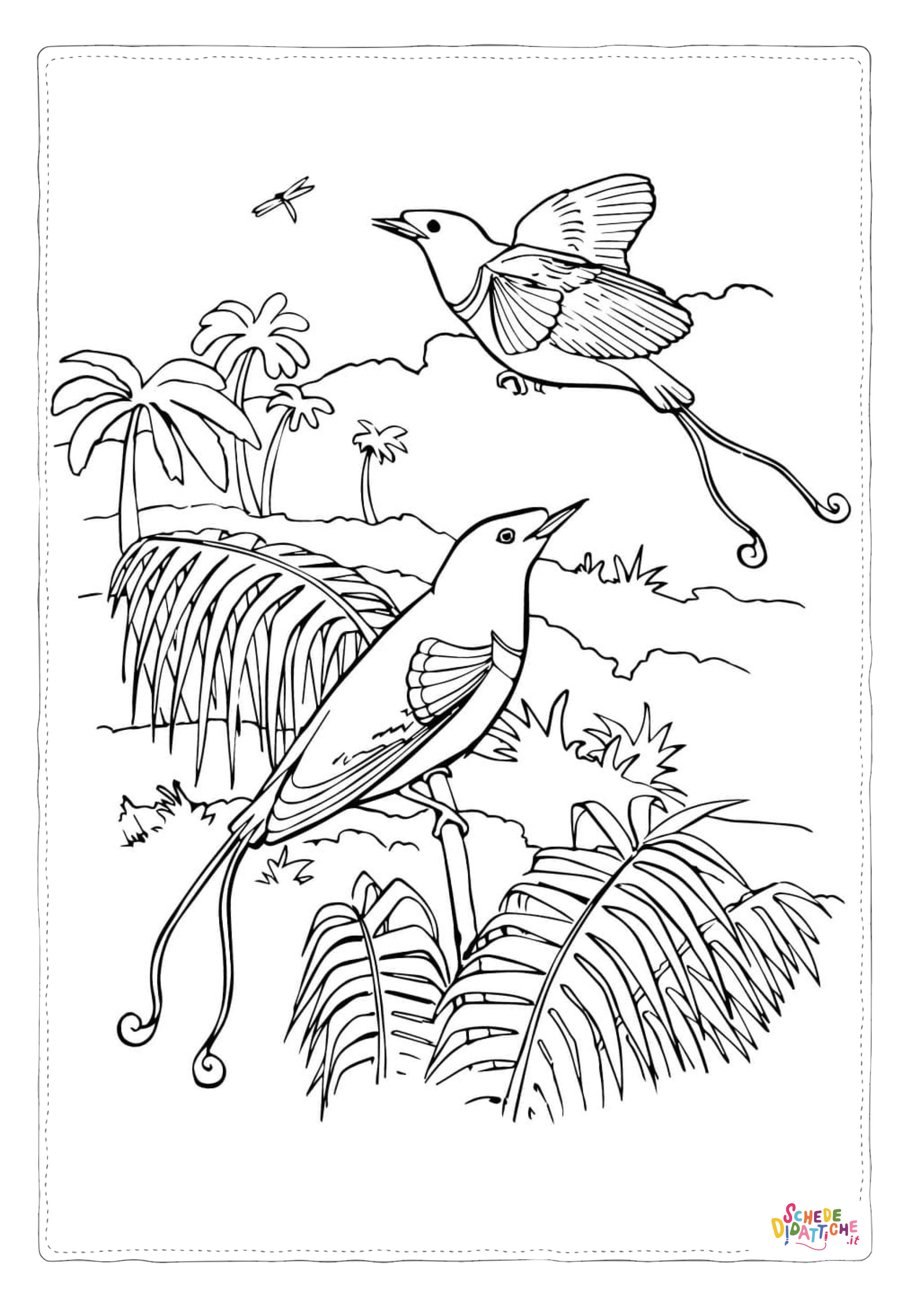 Disegno "Disegno di passero da stampare e colorare 117" Disegno di passero da stampare e colorare 117