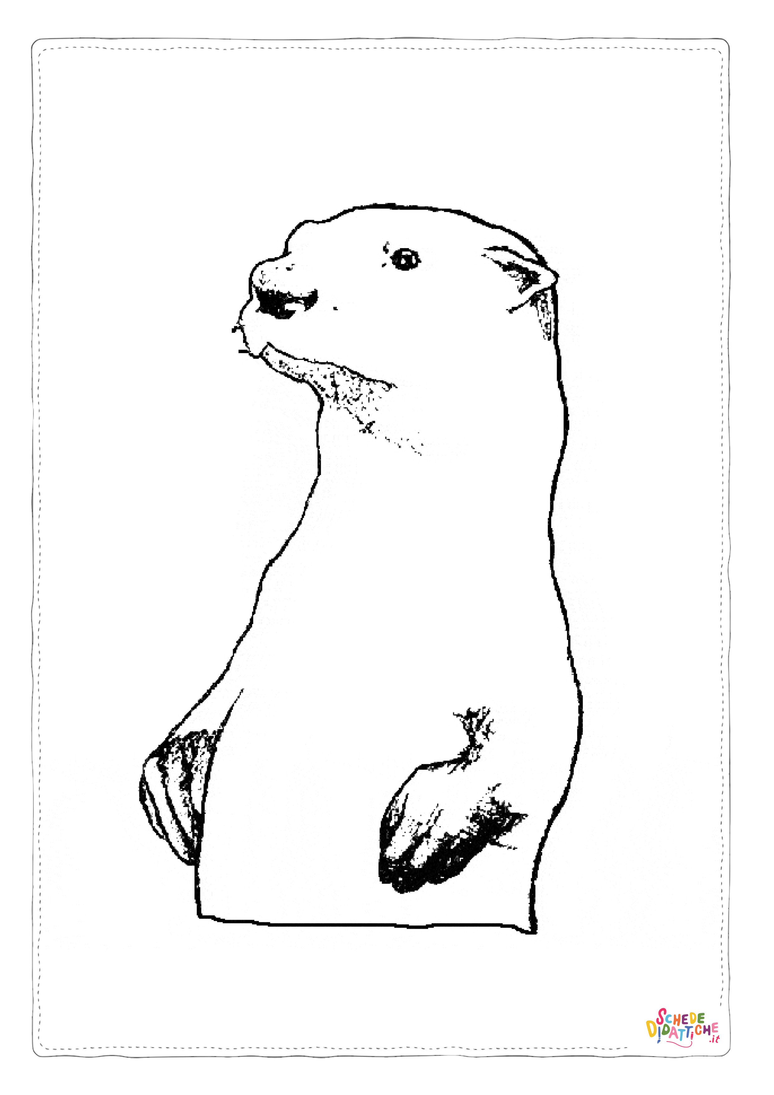 Disegno "Disegno di lontra da stampare e colorare 20" Disegno di lontra da stampare e colorare 20