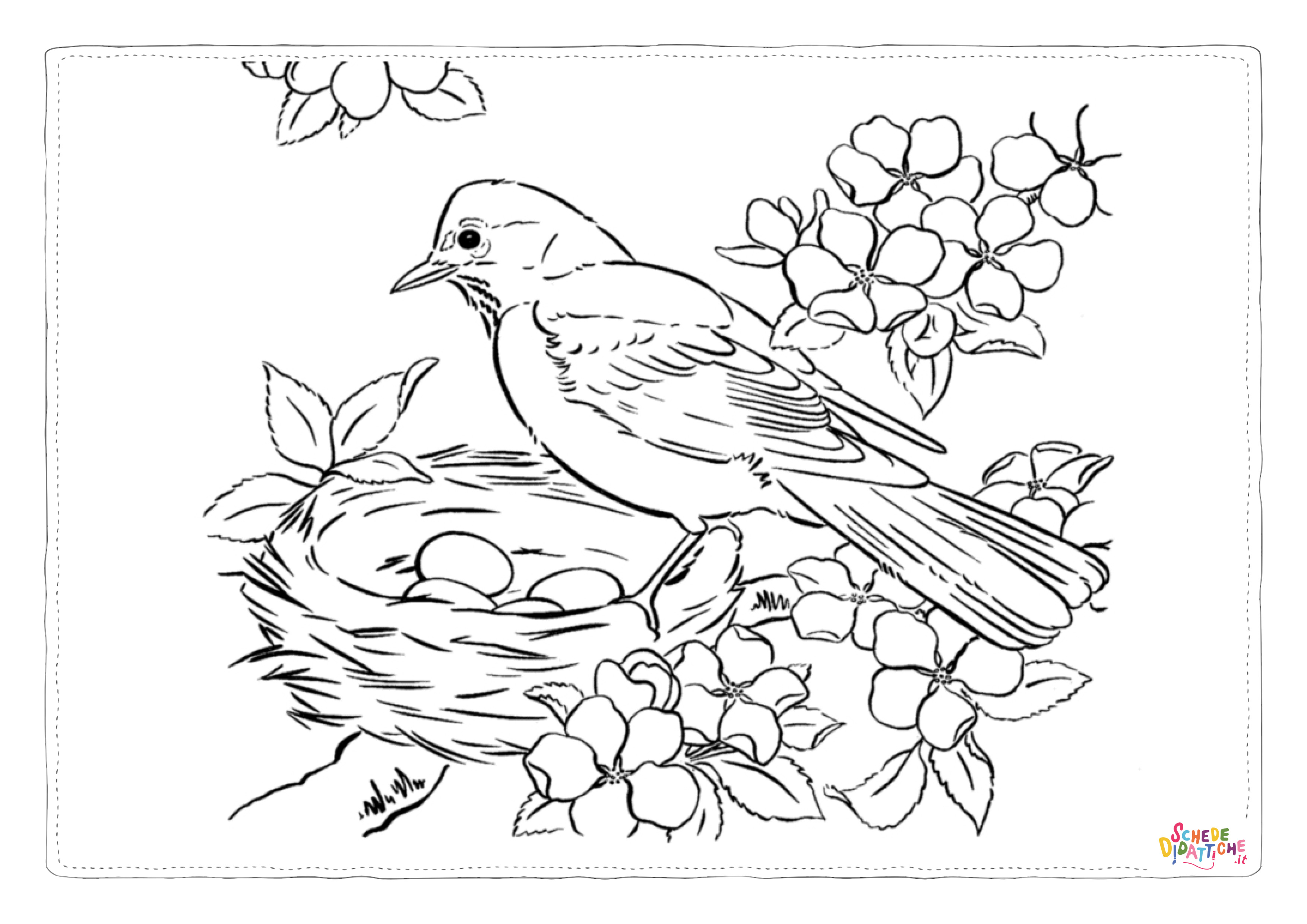 Disegno "Disegno di passero da stampare e colorare 78" Disegno di passero da stampare e colorare 78