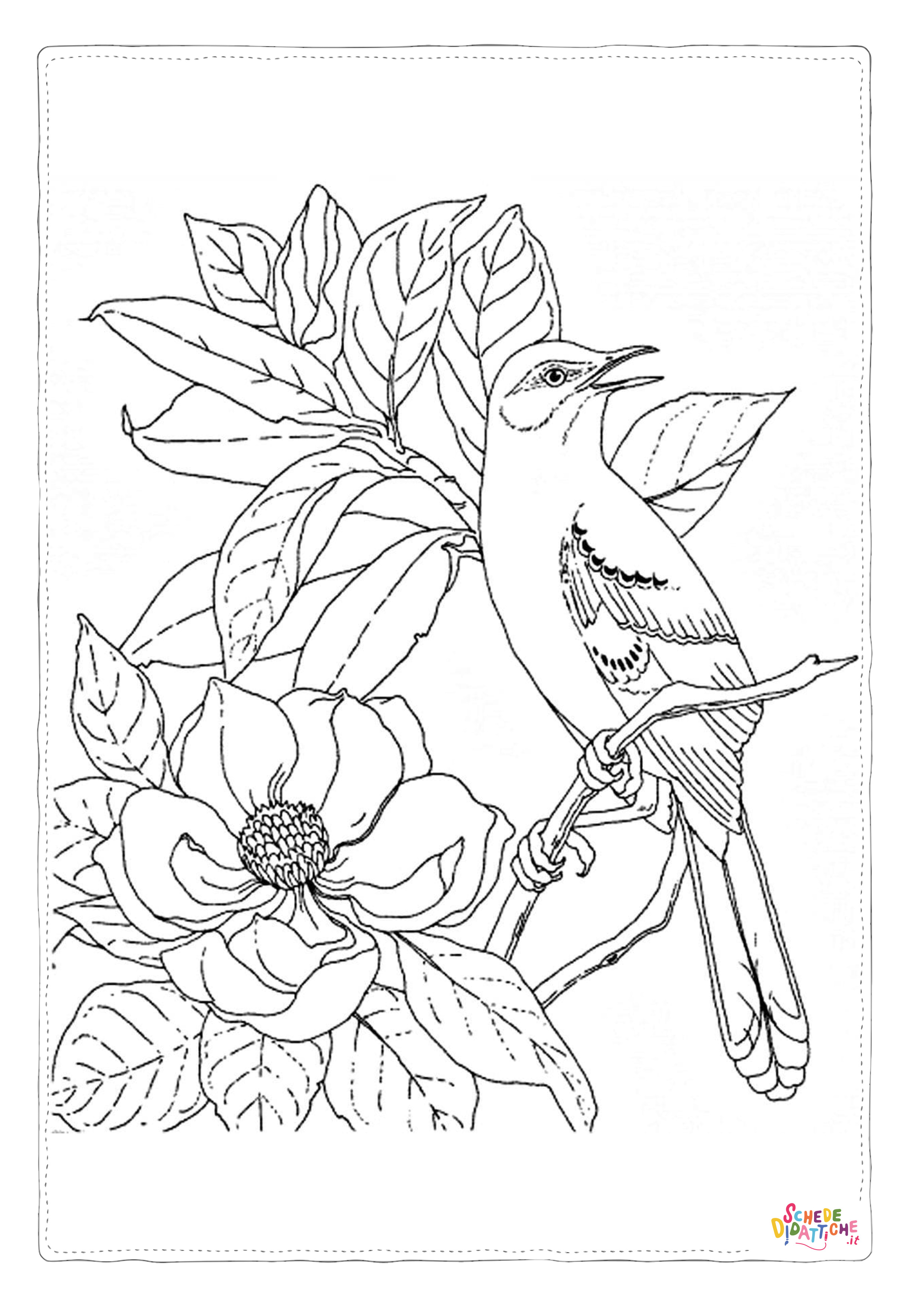Disegno "Disegno di passero da stampare e colorare 3" Disegno di passero da stampare e colorare 3