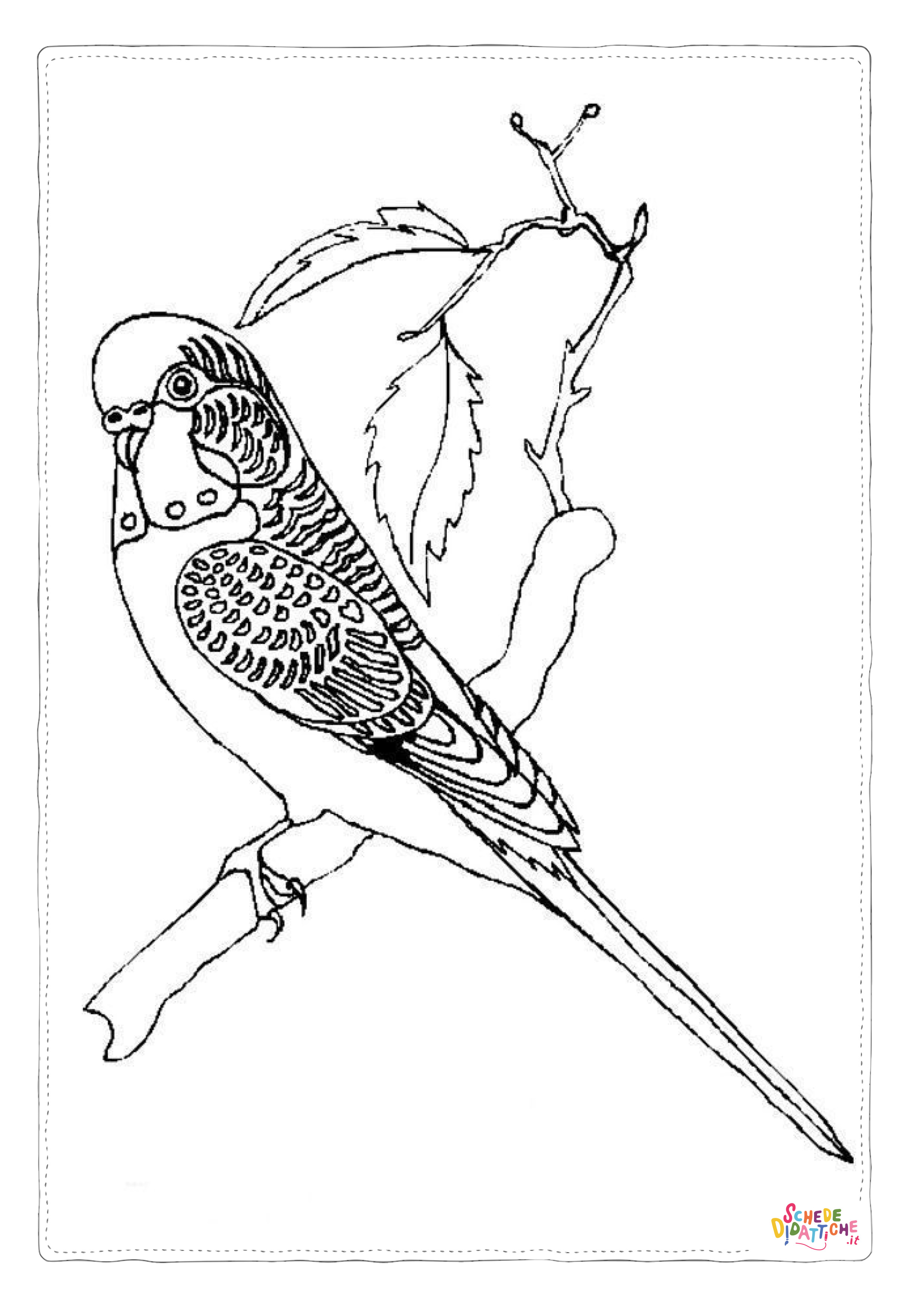 Disegno "Disegno di pappagallo da stampare e colorare 165" Disegno di pappagallo da stampare e colorare 165