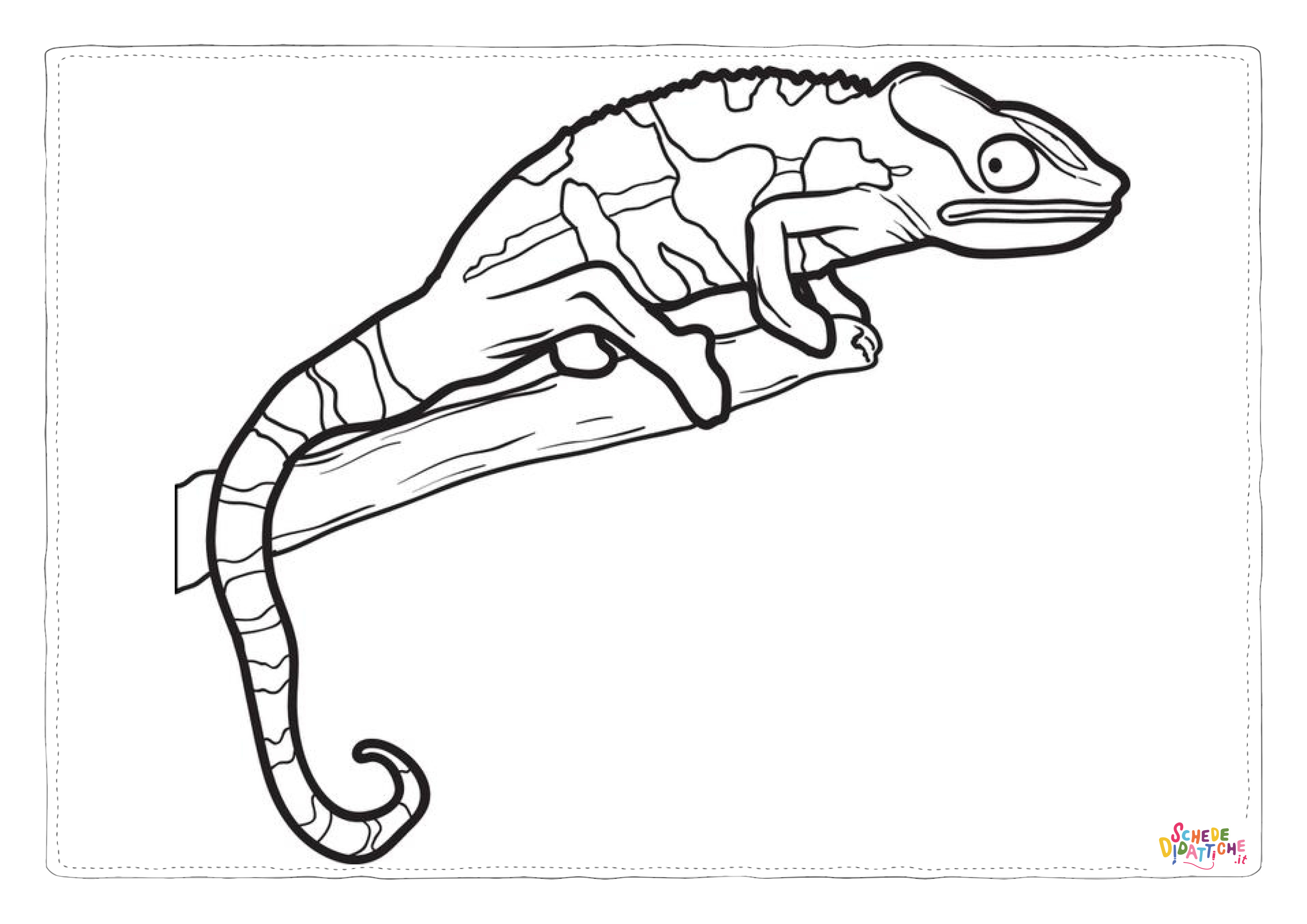 Disegno "Disegno di camaleonte da stampare e colorare 2" Disegno di camaleonte da stampare e colorare 2