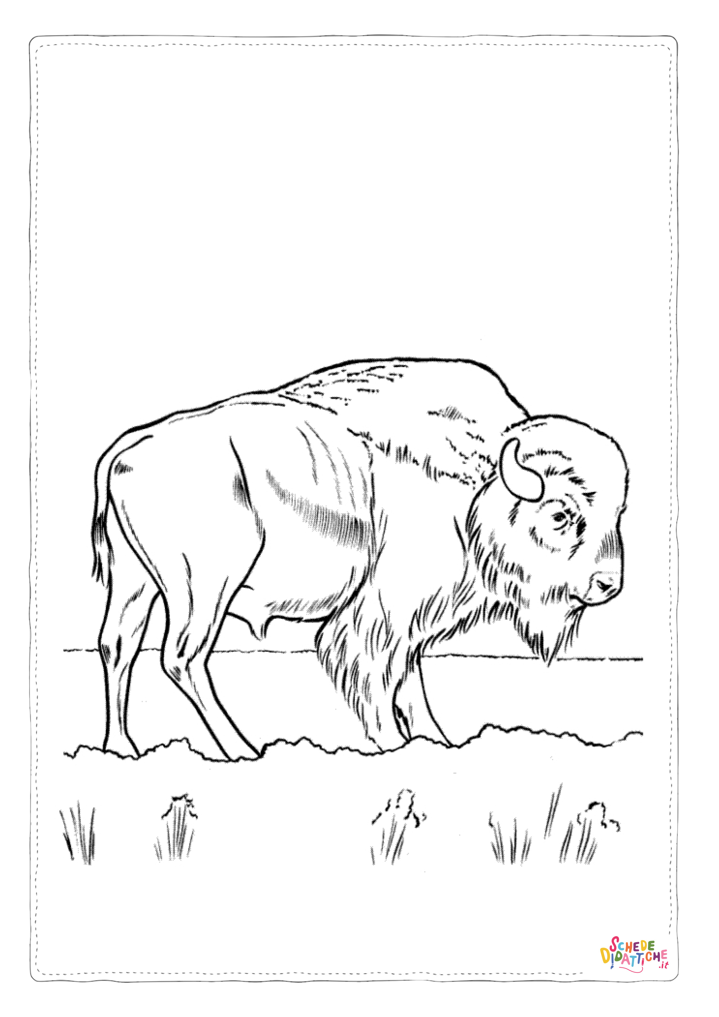 Disegno "Disegno di bisonte da stampare e colorare 6" Disegno di bisonte da stampare e colorare 6
