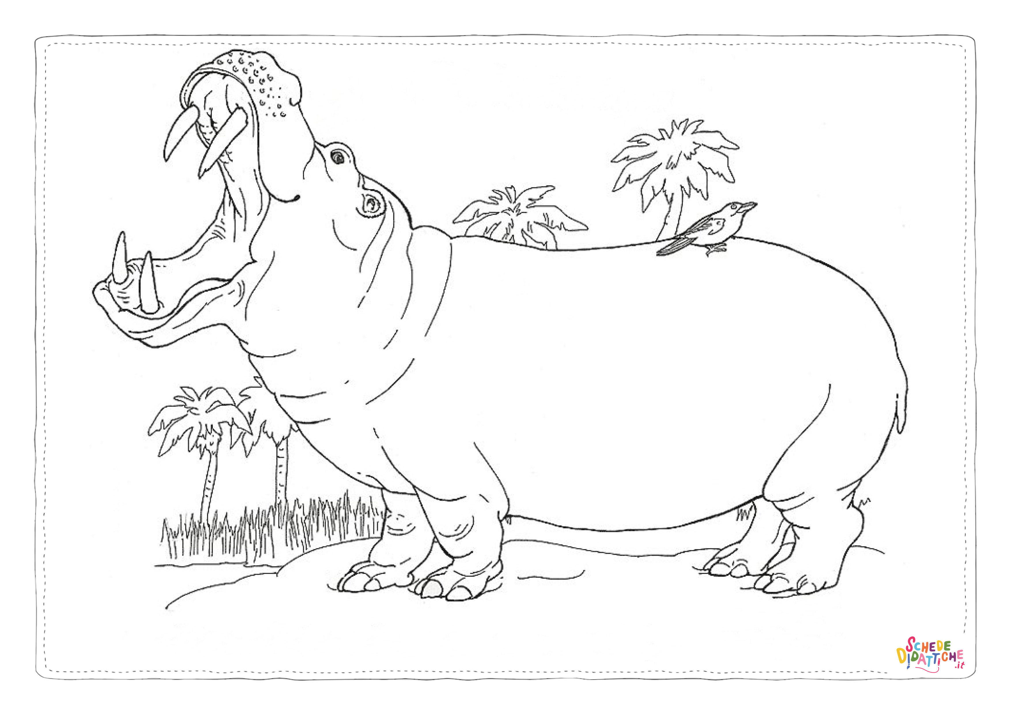 Disegno "Disegno di ippopotamo da stampare e colorare 42" Disegno di ippopotamo da stampare e colorare 42