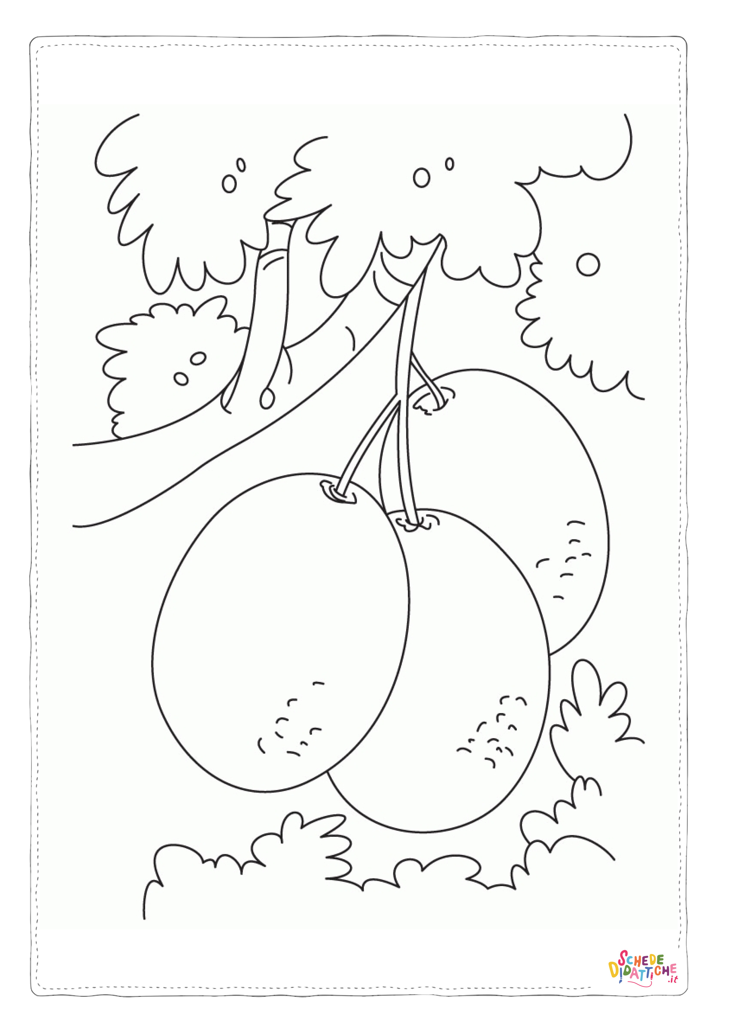 Disegno "Disegno di kiwi da stampare e colorare 1" Disegno di kiwi da stampare e colorare 1