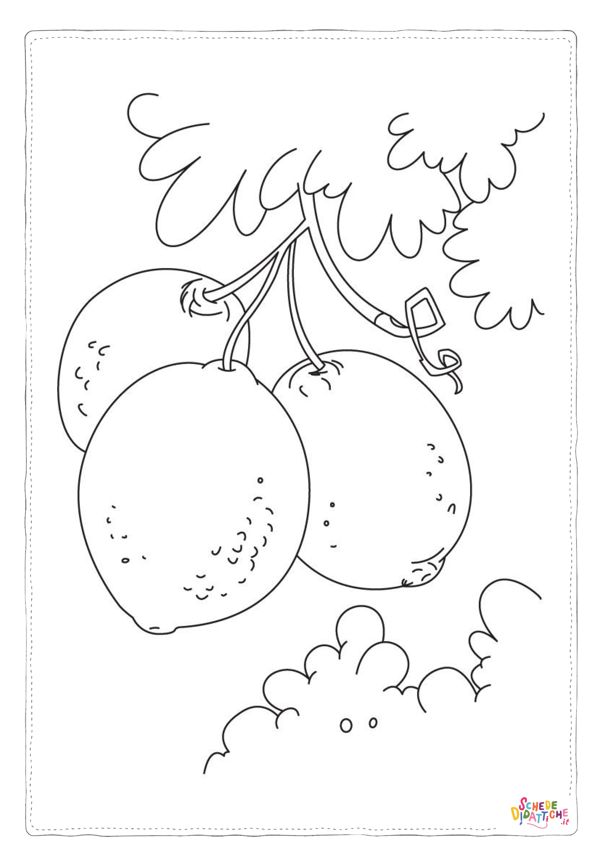 Disegno "Disegno di kiwi da stampare e colorare 5" Disegno di kiwi da stampare e colorare 5