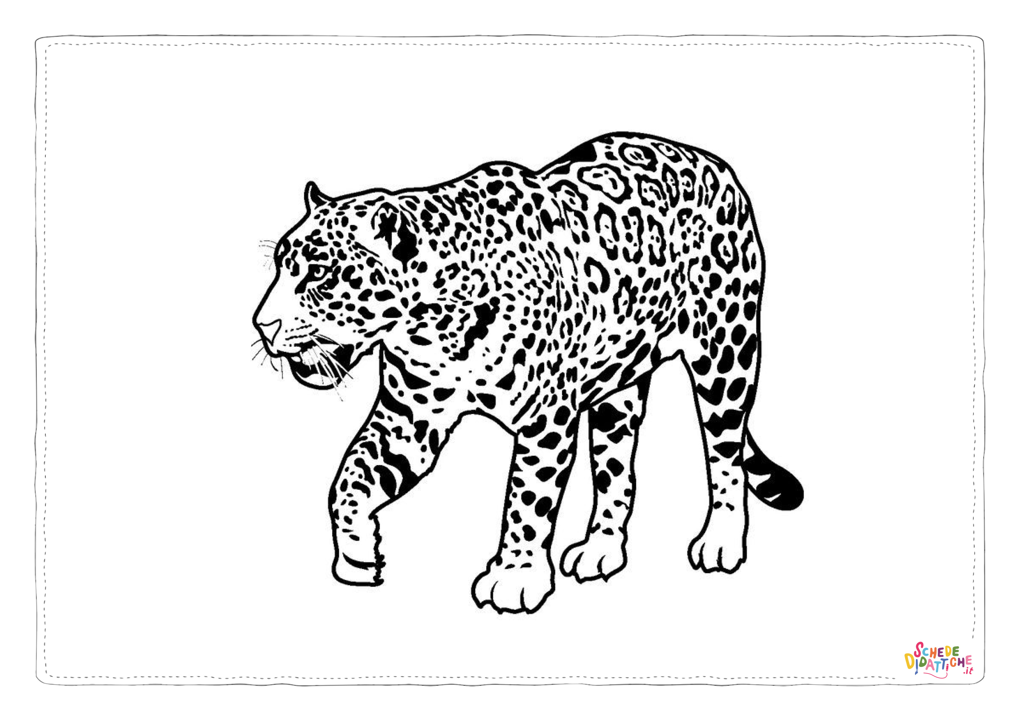 Disegno "Disegno di leopardo da stampare e colorare 8" Disegno di leopardo da stampare e colorare 8