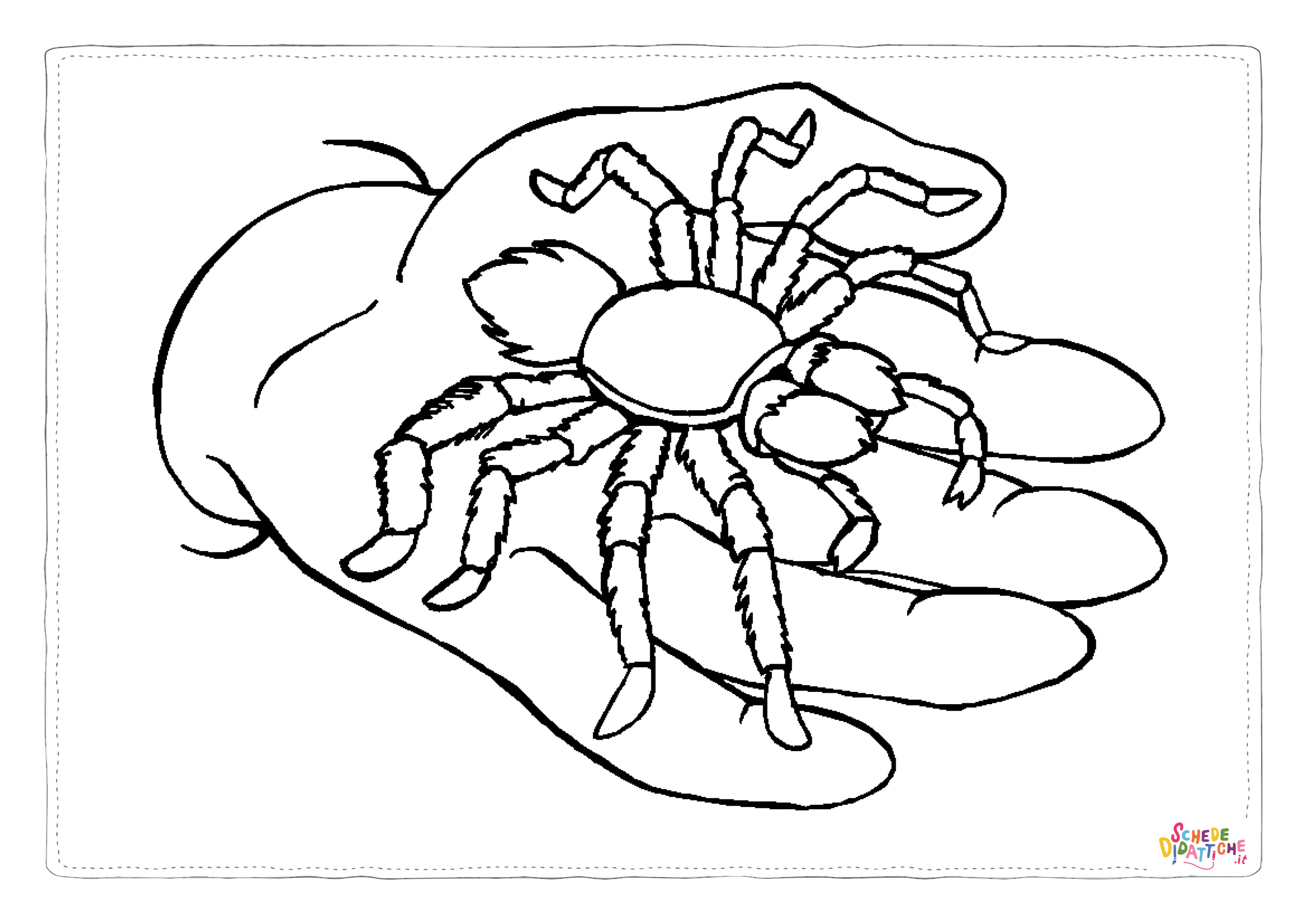 Disegno di ragno da stampare e colorare 4