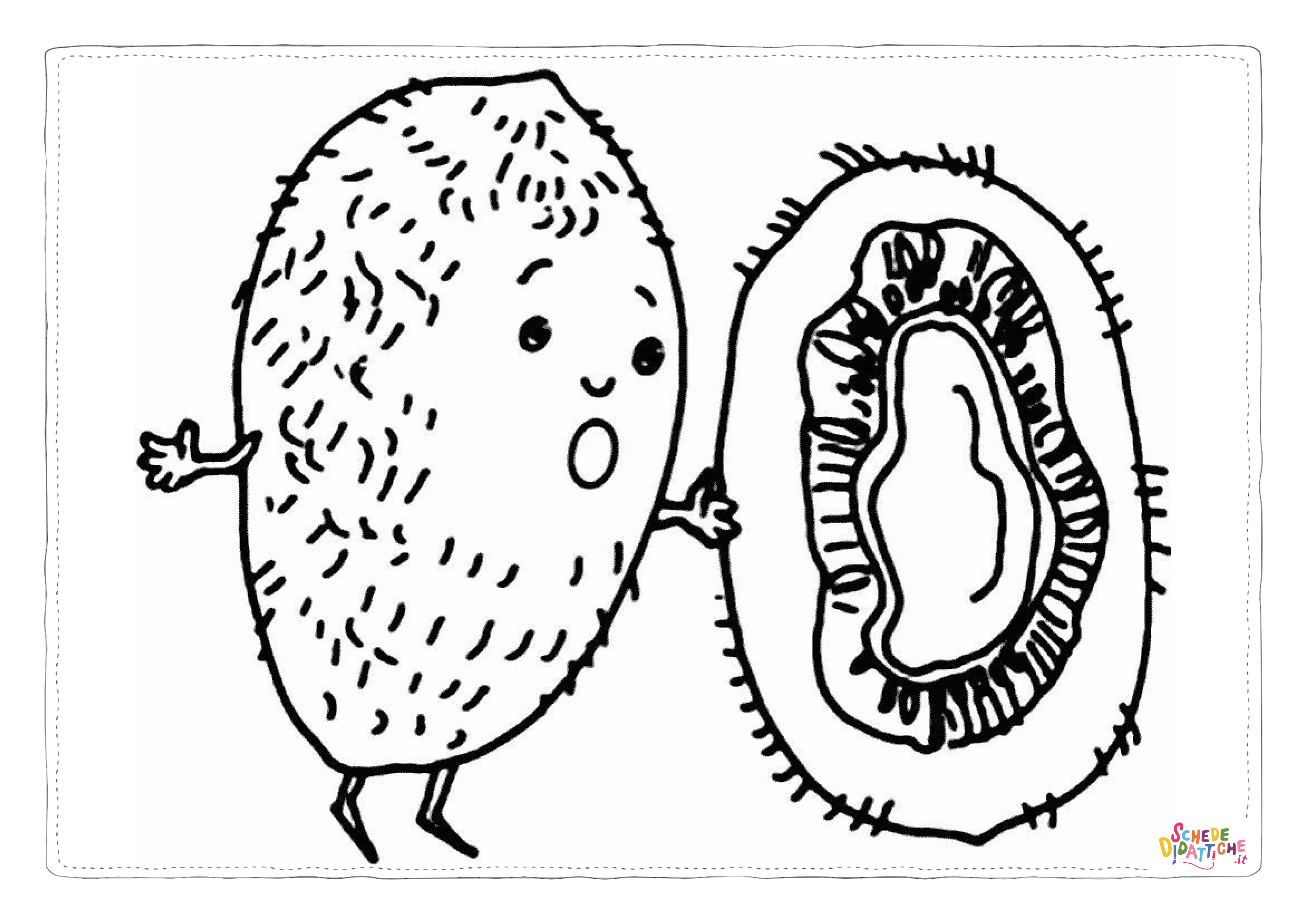 Disegno "Disegno di kiwi da stampare e colorare 9" Disegno di kiwi da stampare e colorare 9