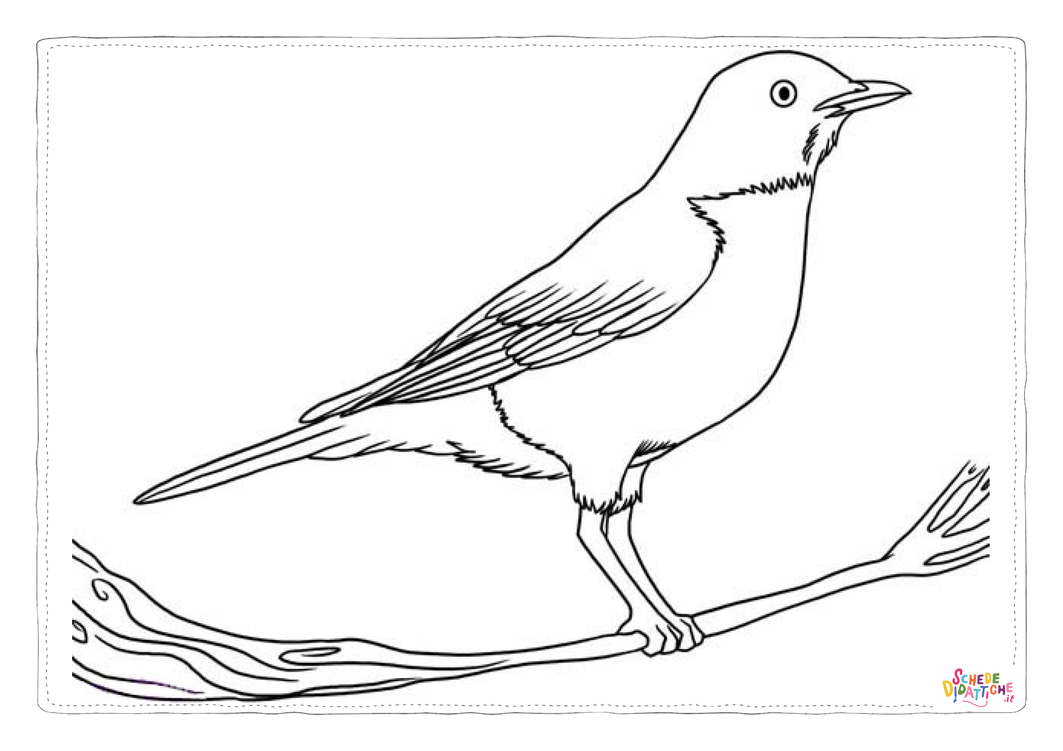 Disegno "Disegno di uccello da stampare e colorare 119" Disegno di uccello da stampare e colorare 119