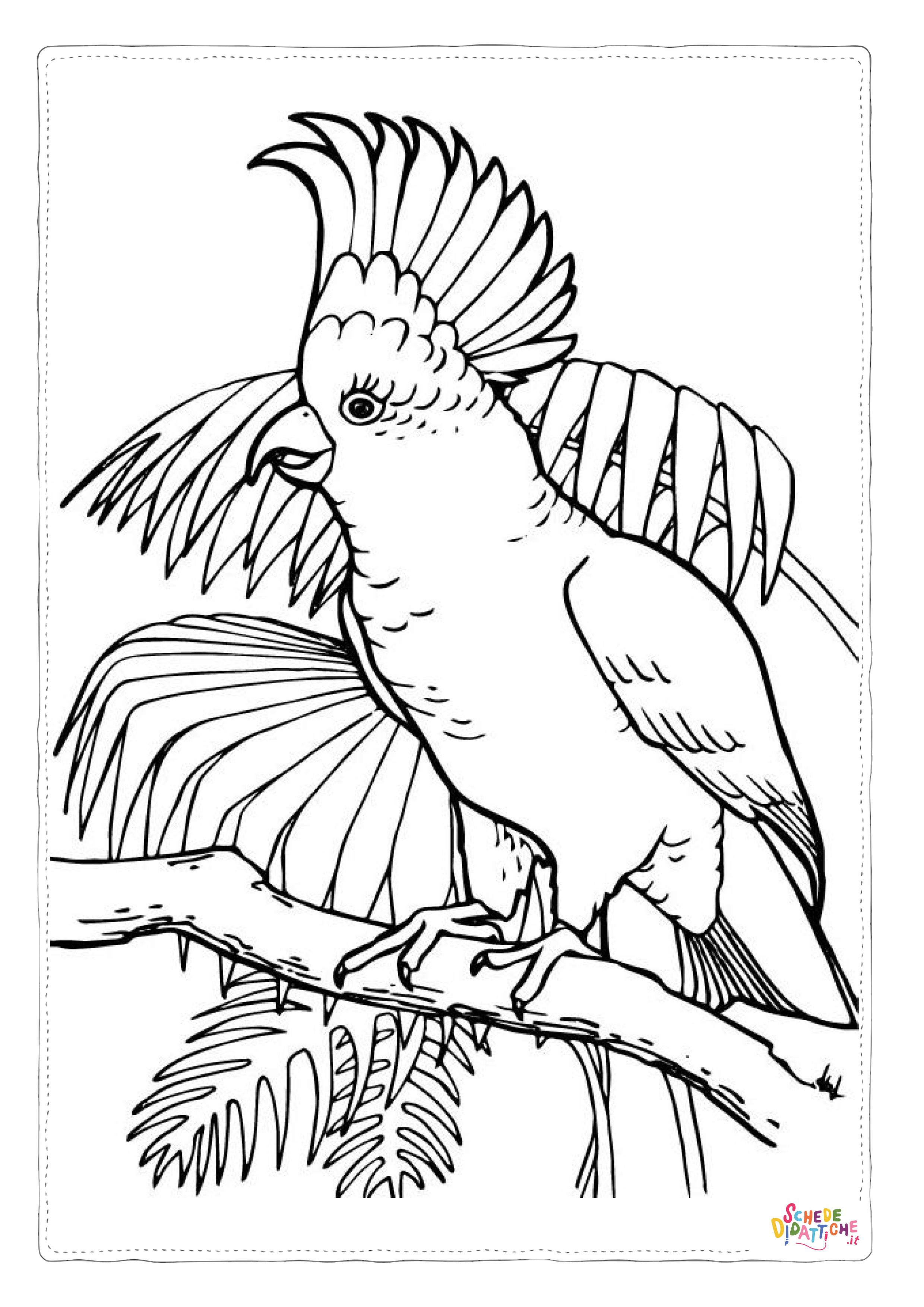 Disegno "Disegno di pappagallo da stampare e colorare 22" Disegno di pappagallo da stampare e colorare 22