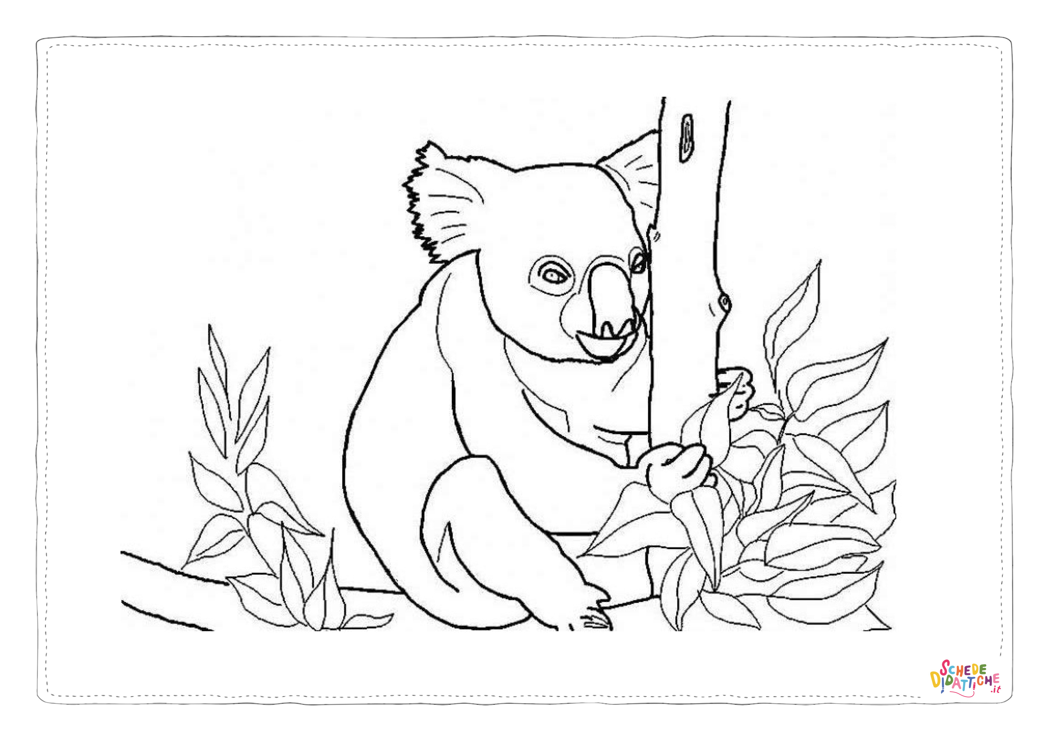 Disegno di koala da stampare e colorare 17