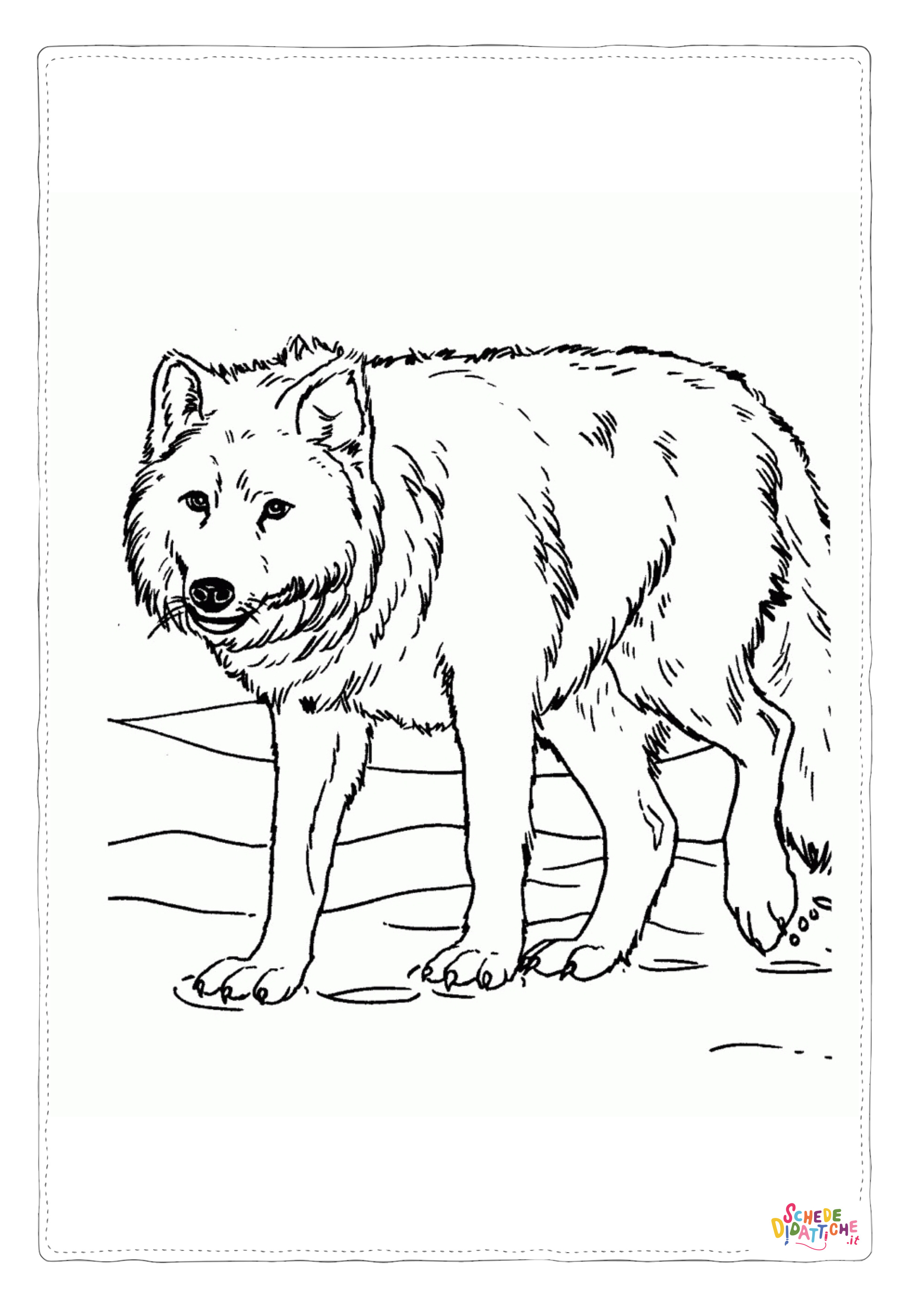 Disegno "Disegno di lupo da stampare e colorare 8" Disegno di lupo da stampare e colorare 8