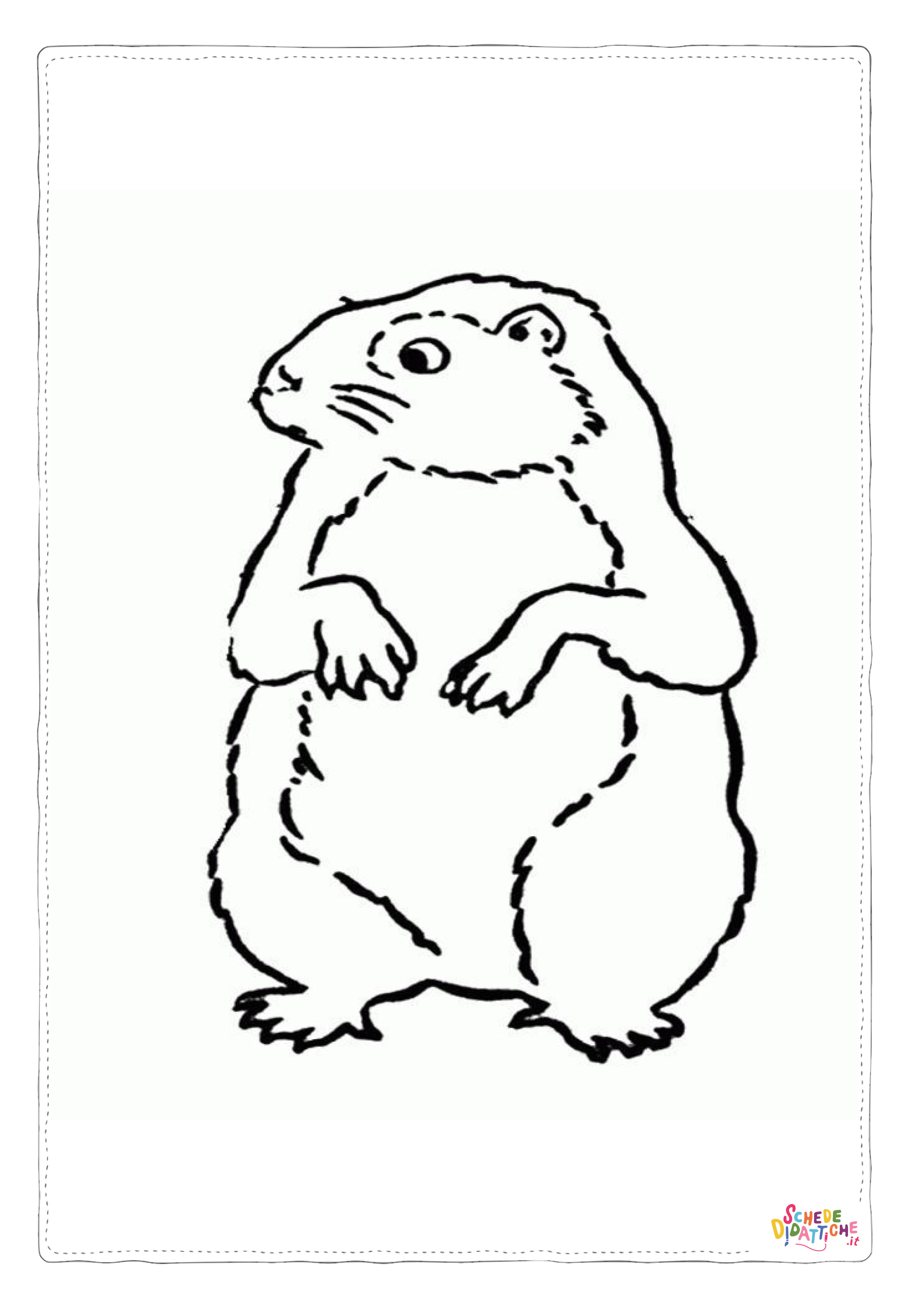 Disegno di marmotta da stampare e colorare 2