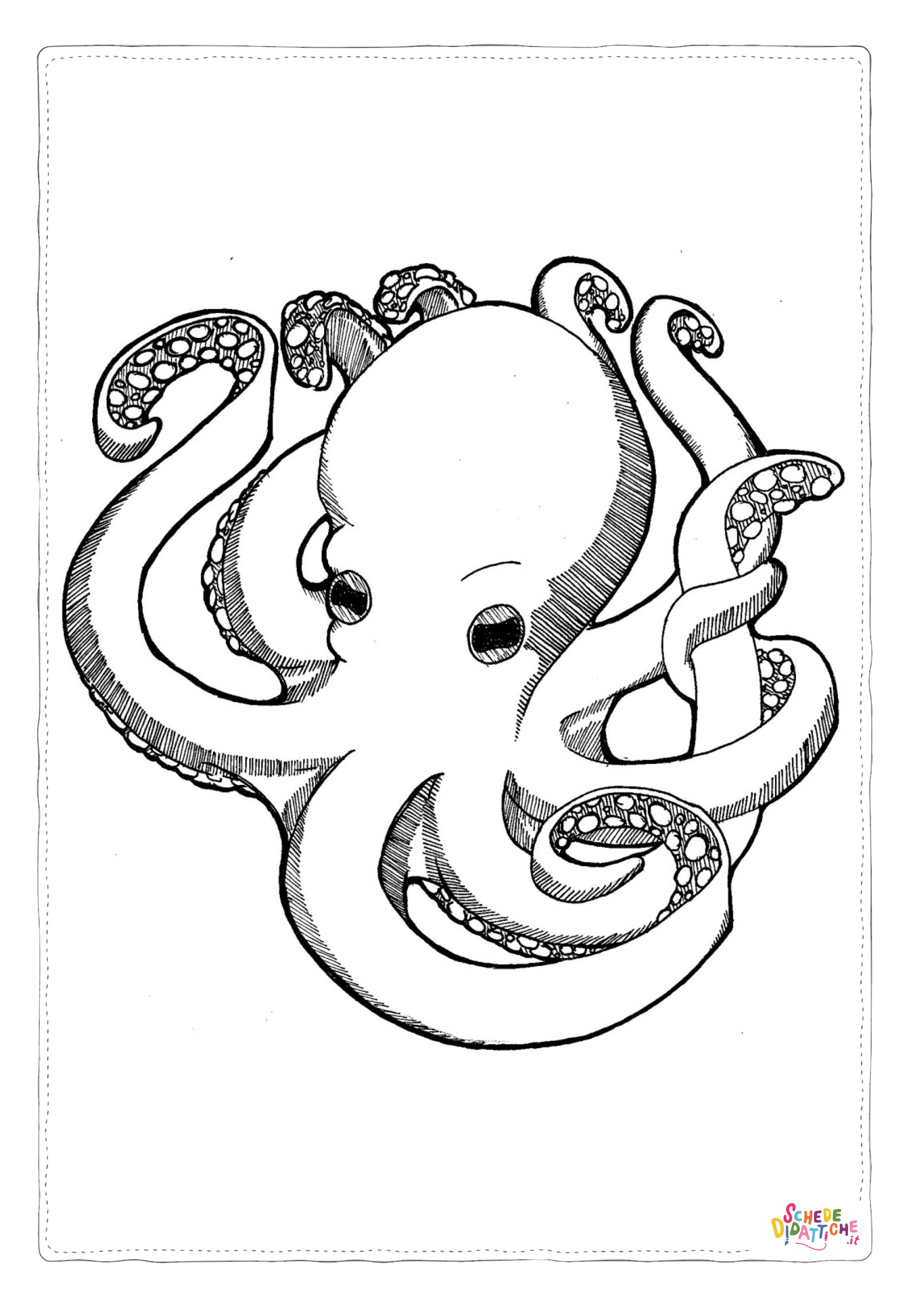 Disegno "Disegno di polpo da stampare e colorare 30" Disegno di polpo da stampare e colorare 30