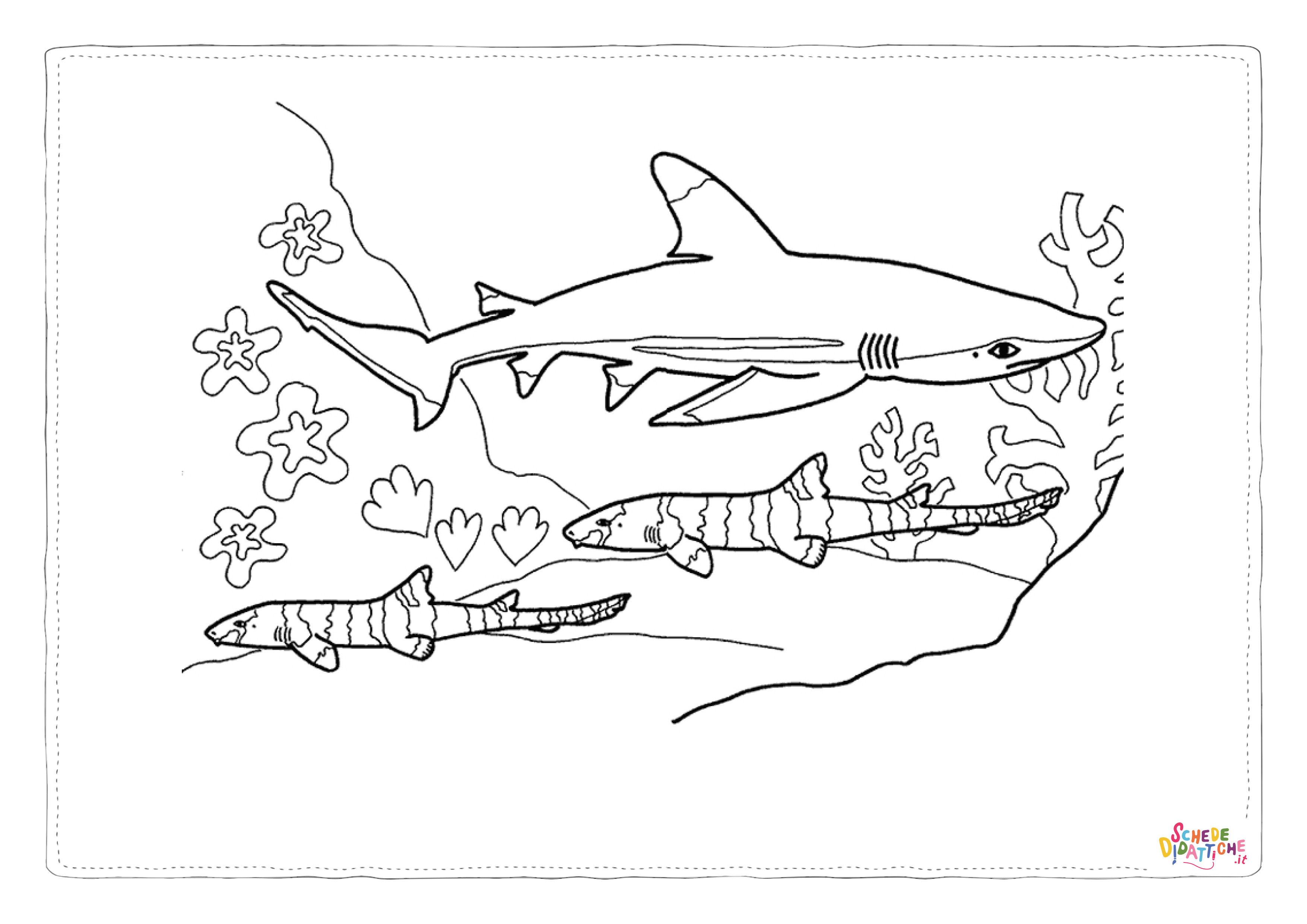 Disegno di squalo da stampare e colorare