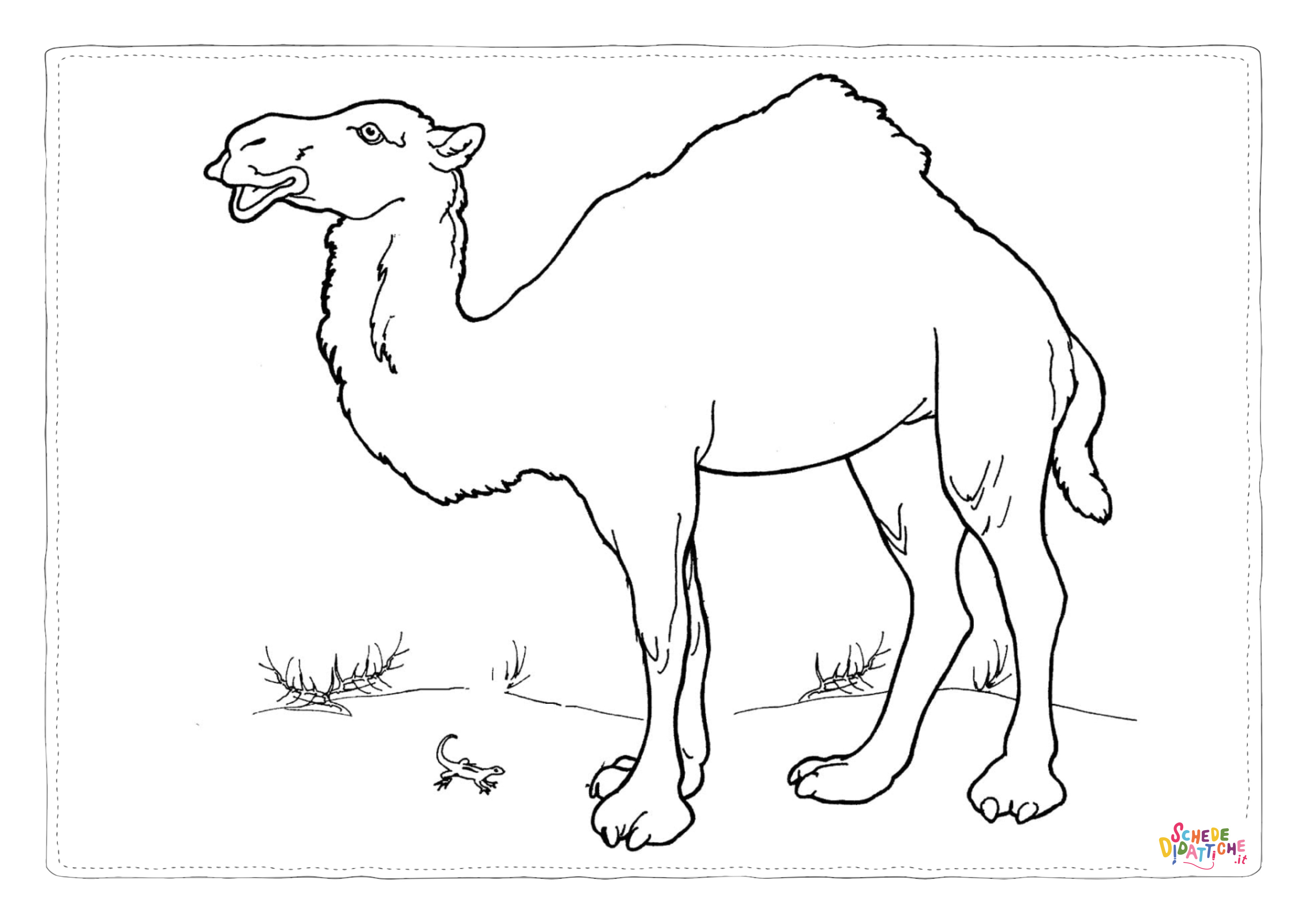 Disegno "Disegno di dromedario da stampare e colorare 30" Disegno di dromedario da stampare e colorare 30