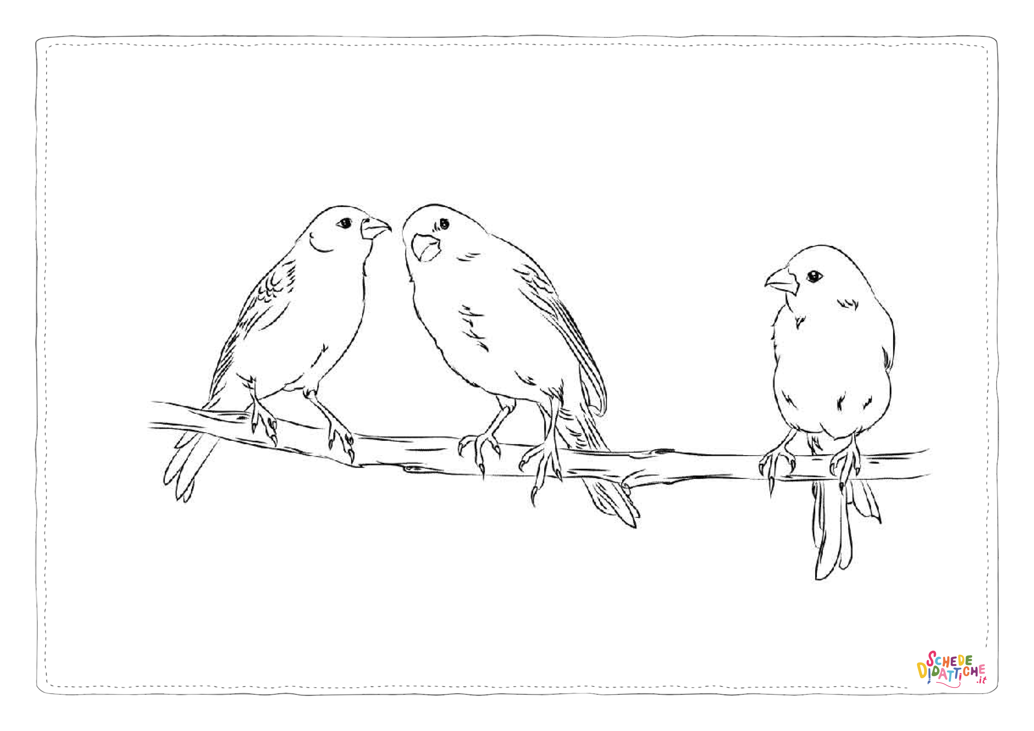 Disegno di passero da stampare e colorare 100
