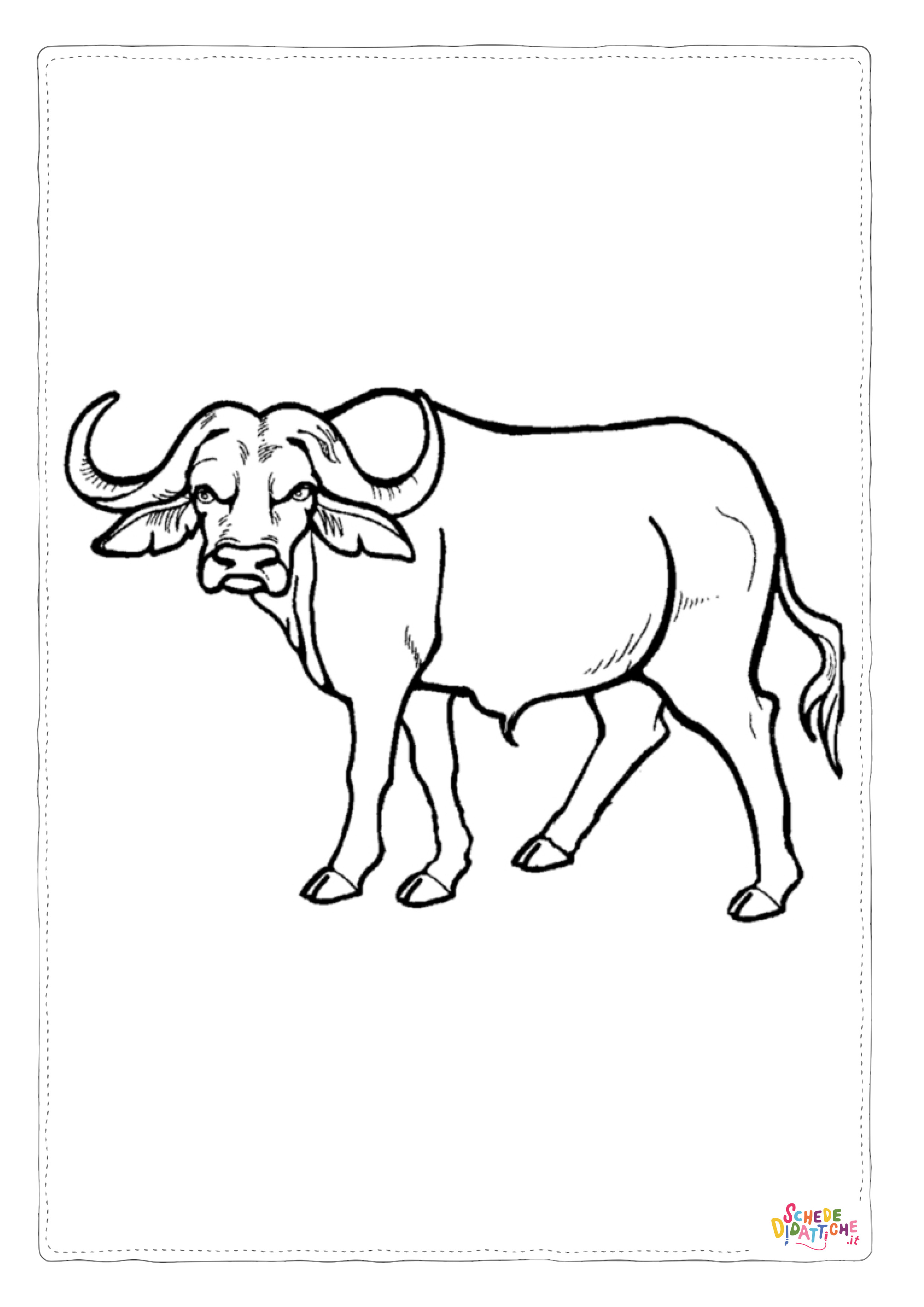 Disegno "Disegno di bufalo da stampare e colorare" Disegno di bufalo da stampare e colorare