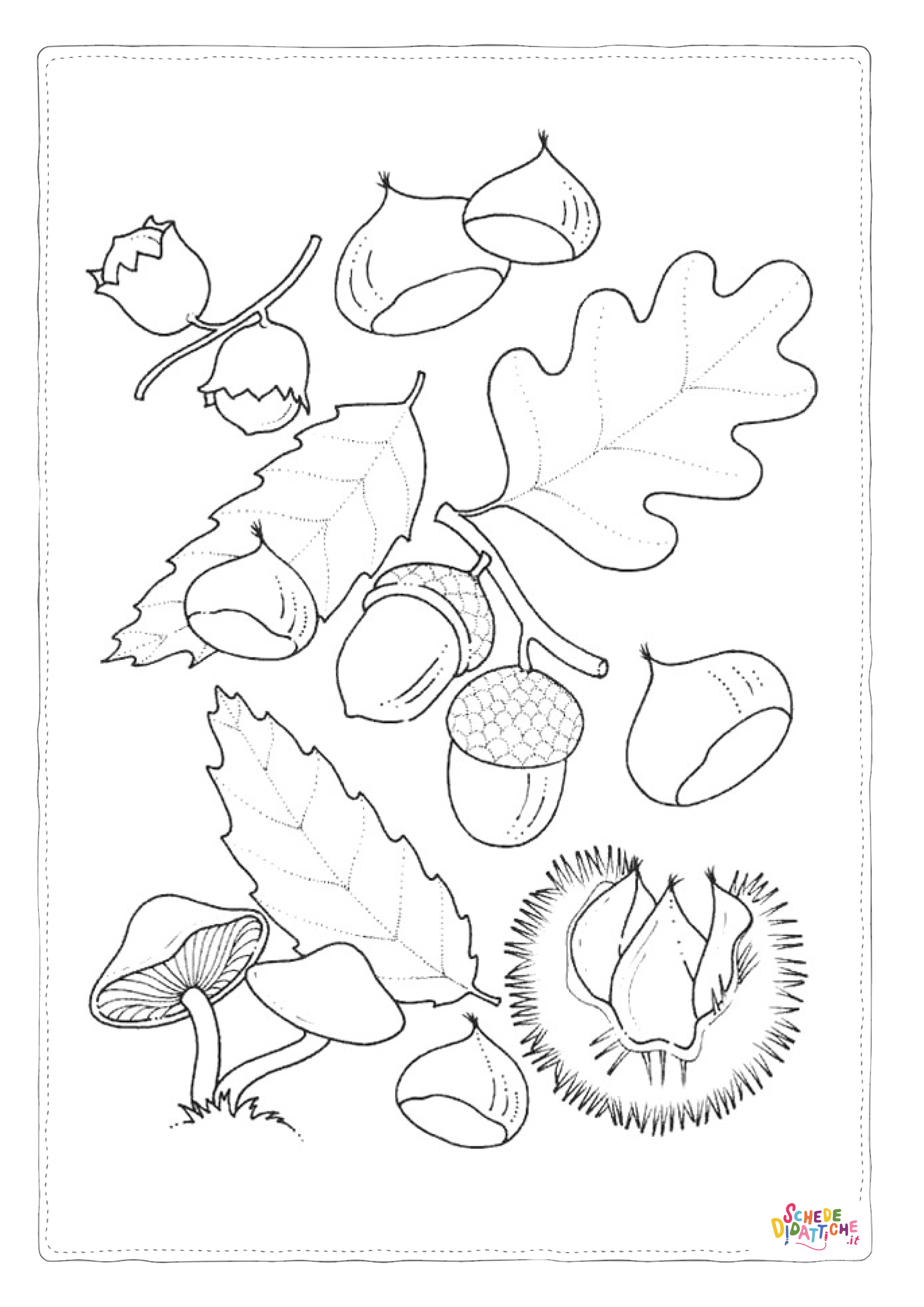 Disegno "Disegno di ghianda da stampare e colorare 6" Disegno di ghianda da stampare e colorare 6
