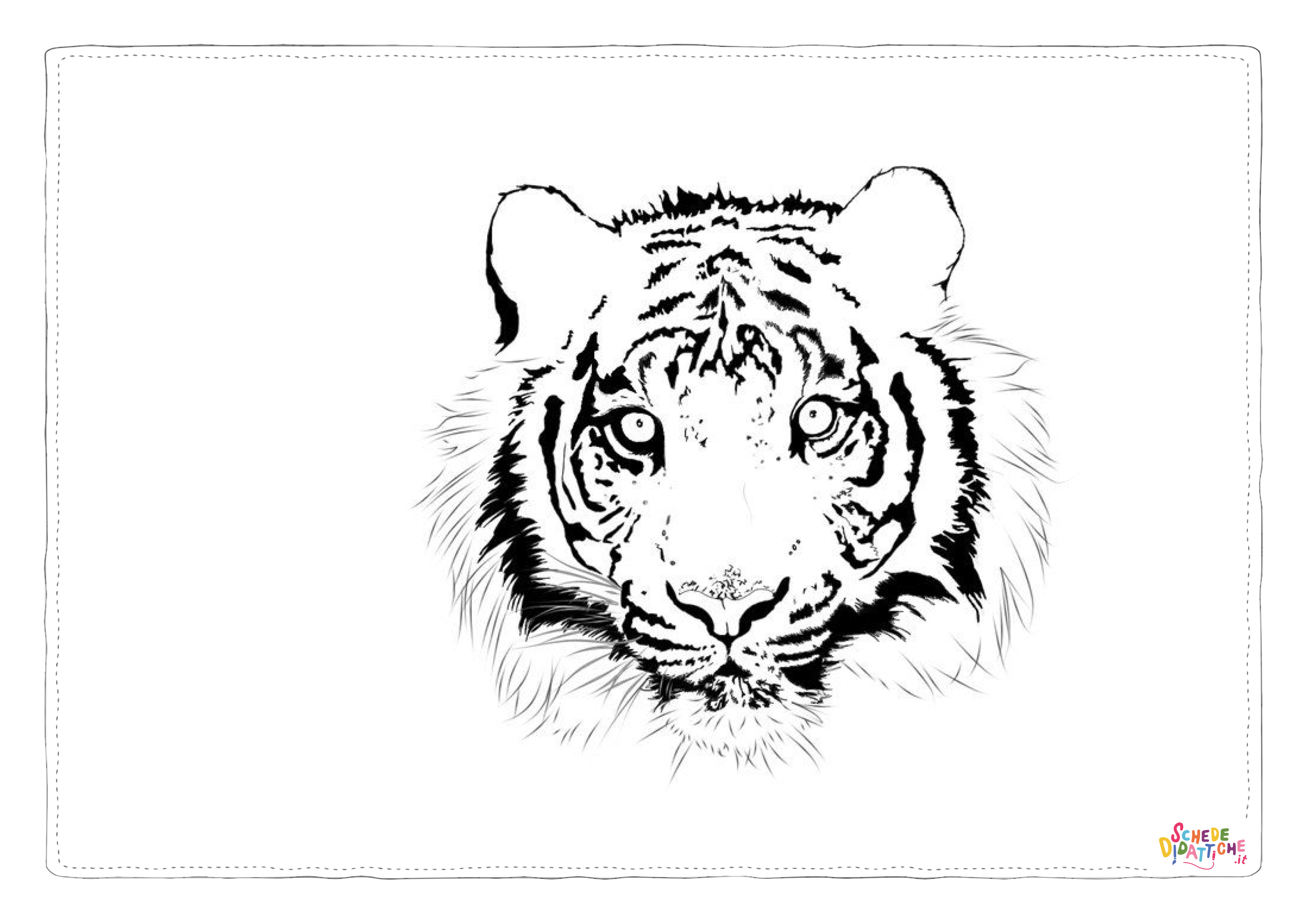 Disegno "Disegno di tigre da stampare e colorare 35" Disegno di tigre da stampare e colorare 35